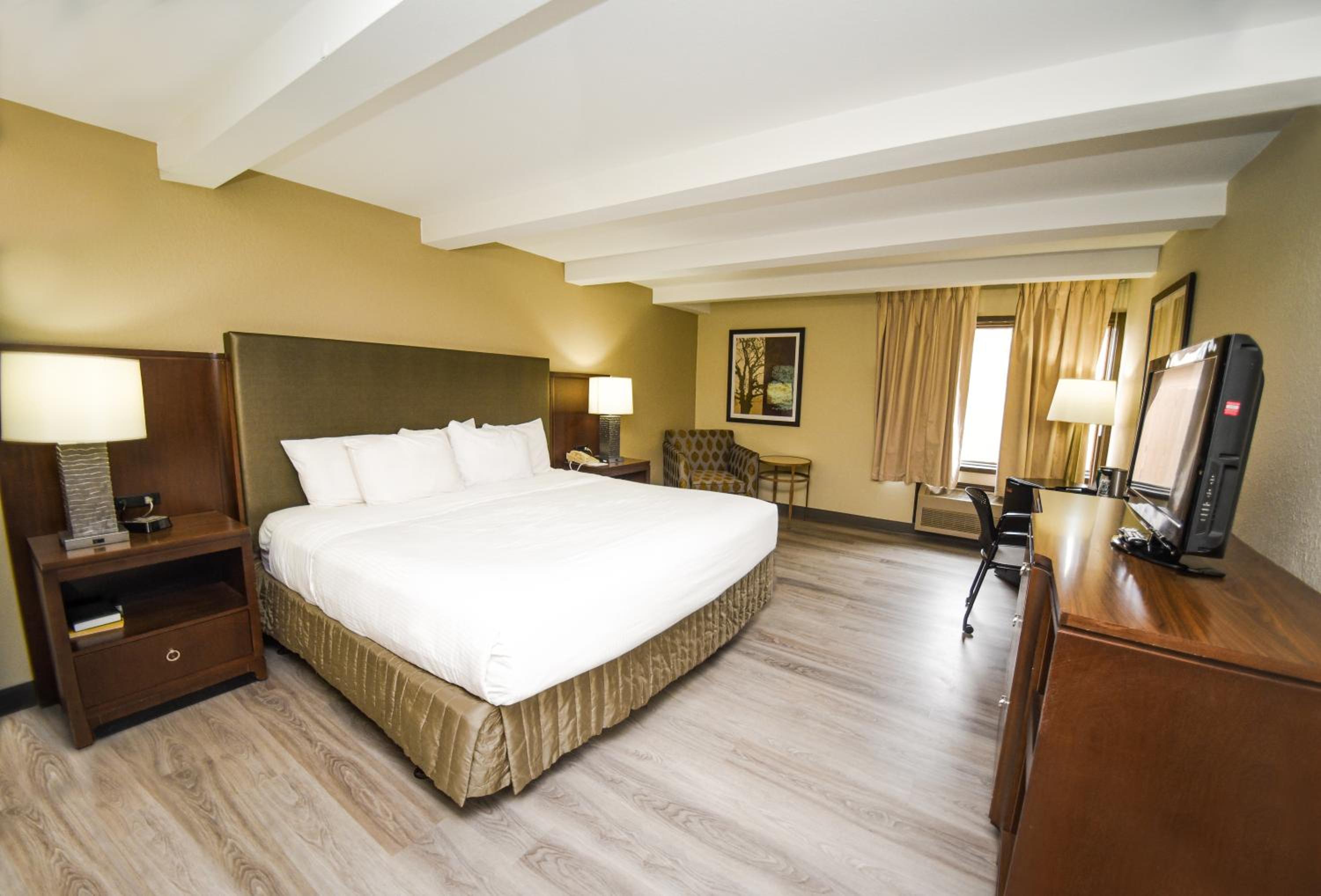 Superior King Room photo 1
