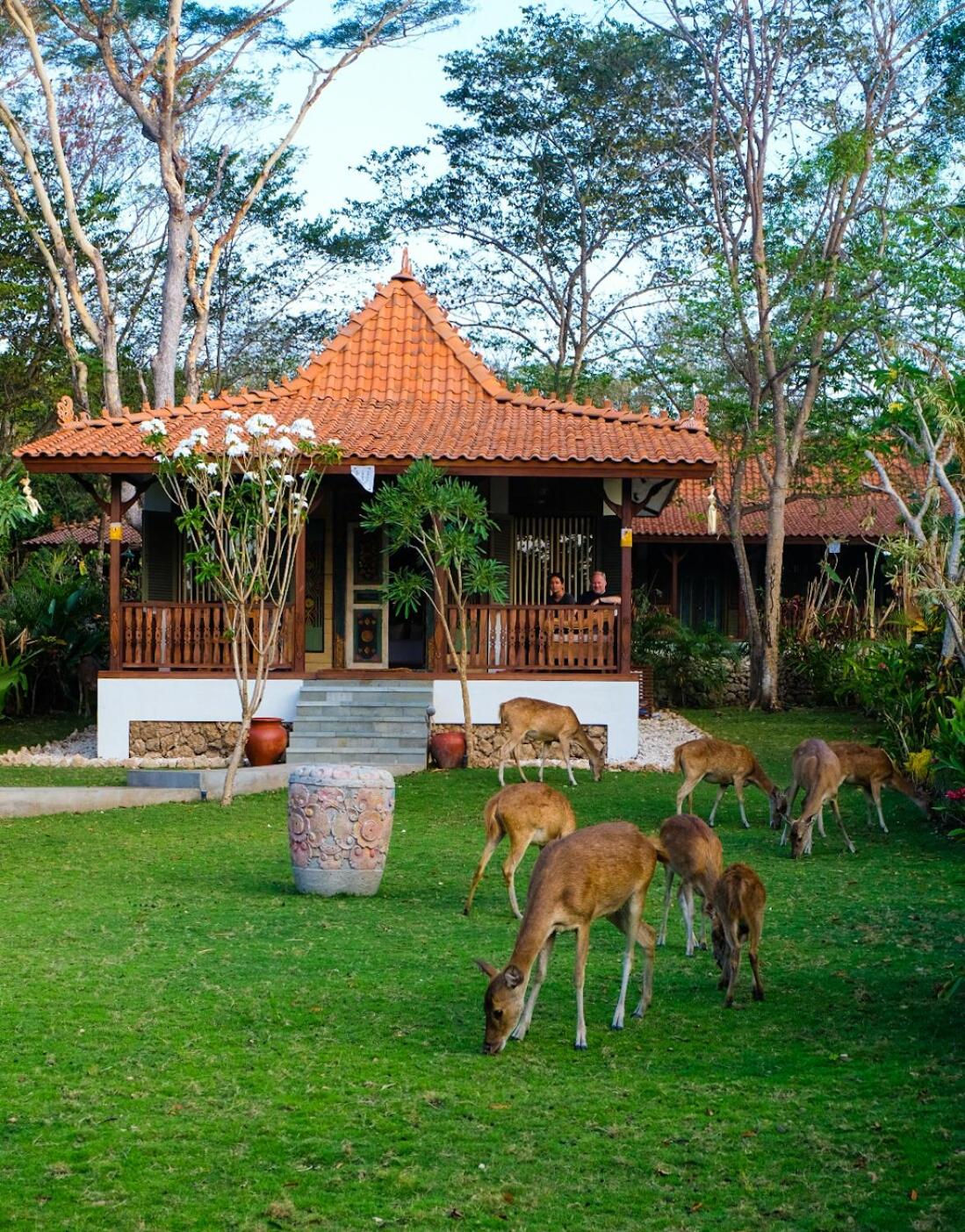 Room Only – One Bedroom Forest Villa - Photo 2