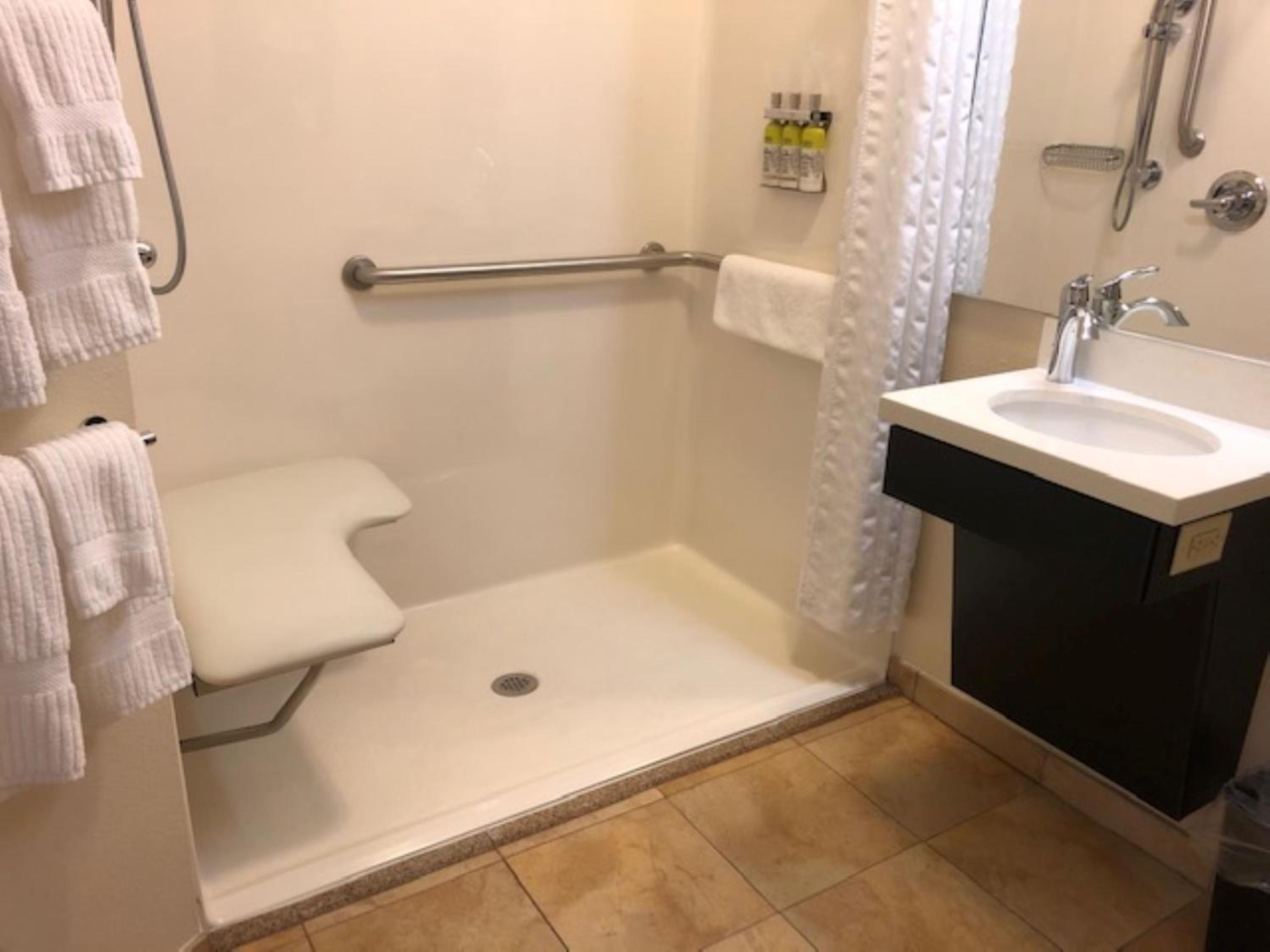 Queen Studio Suite with Roll In Shower - Mobility Accessible - Photo 3