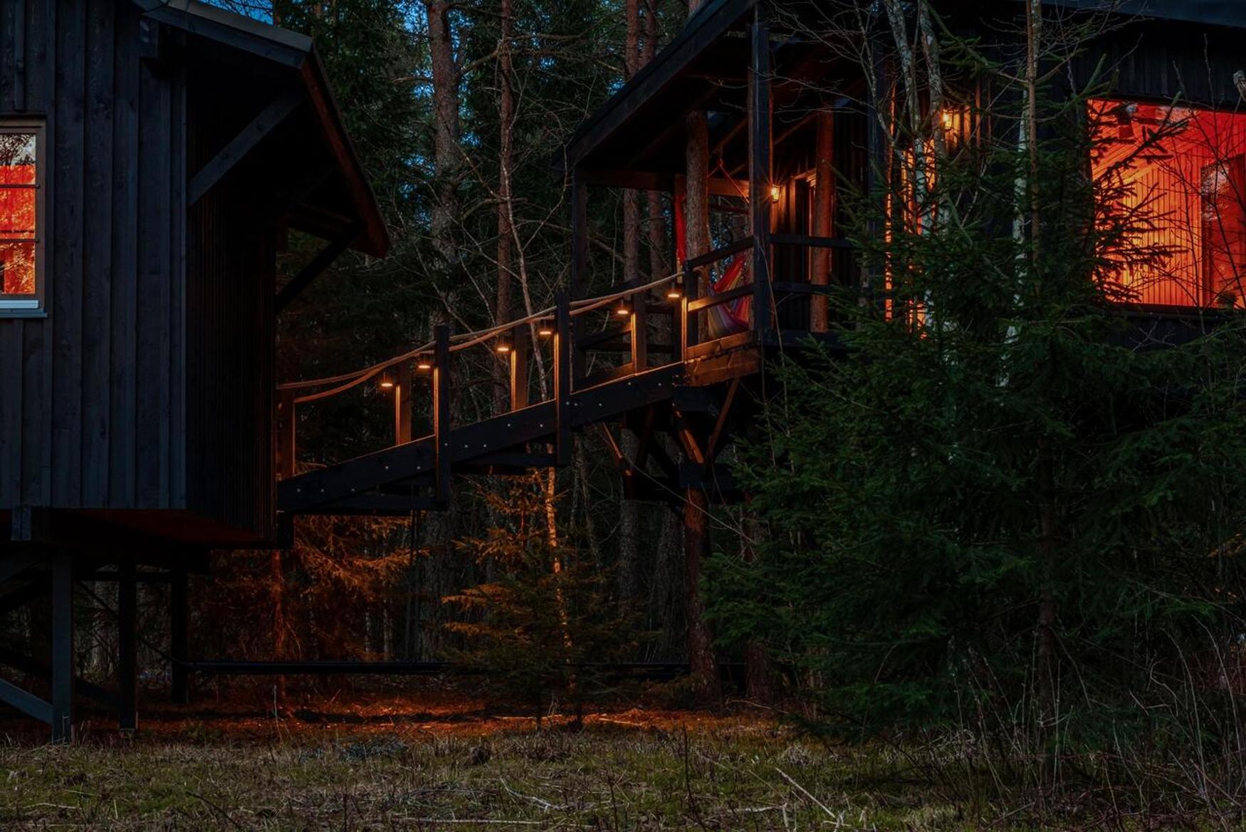 Treehouse - Photo 4