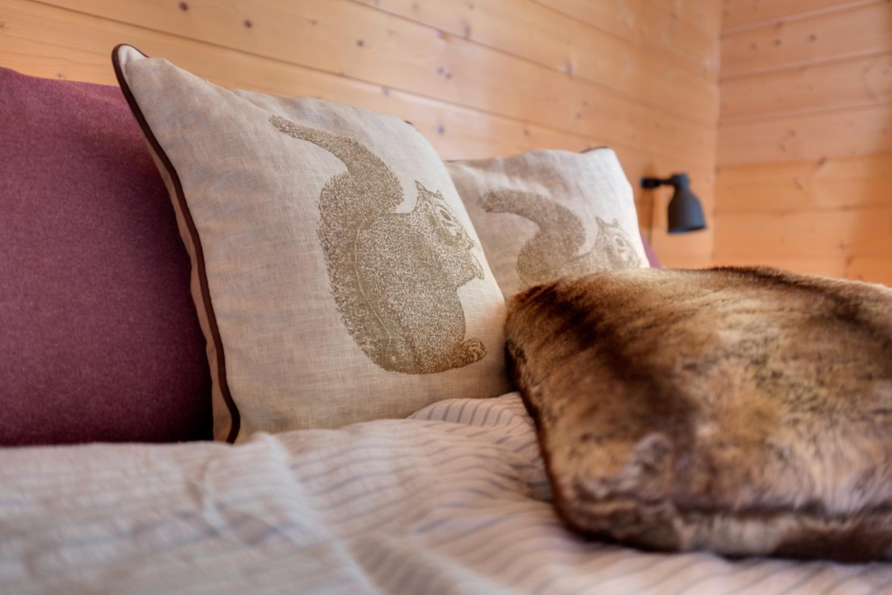 Three-Bedroom Chalet photo 3