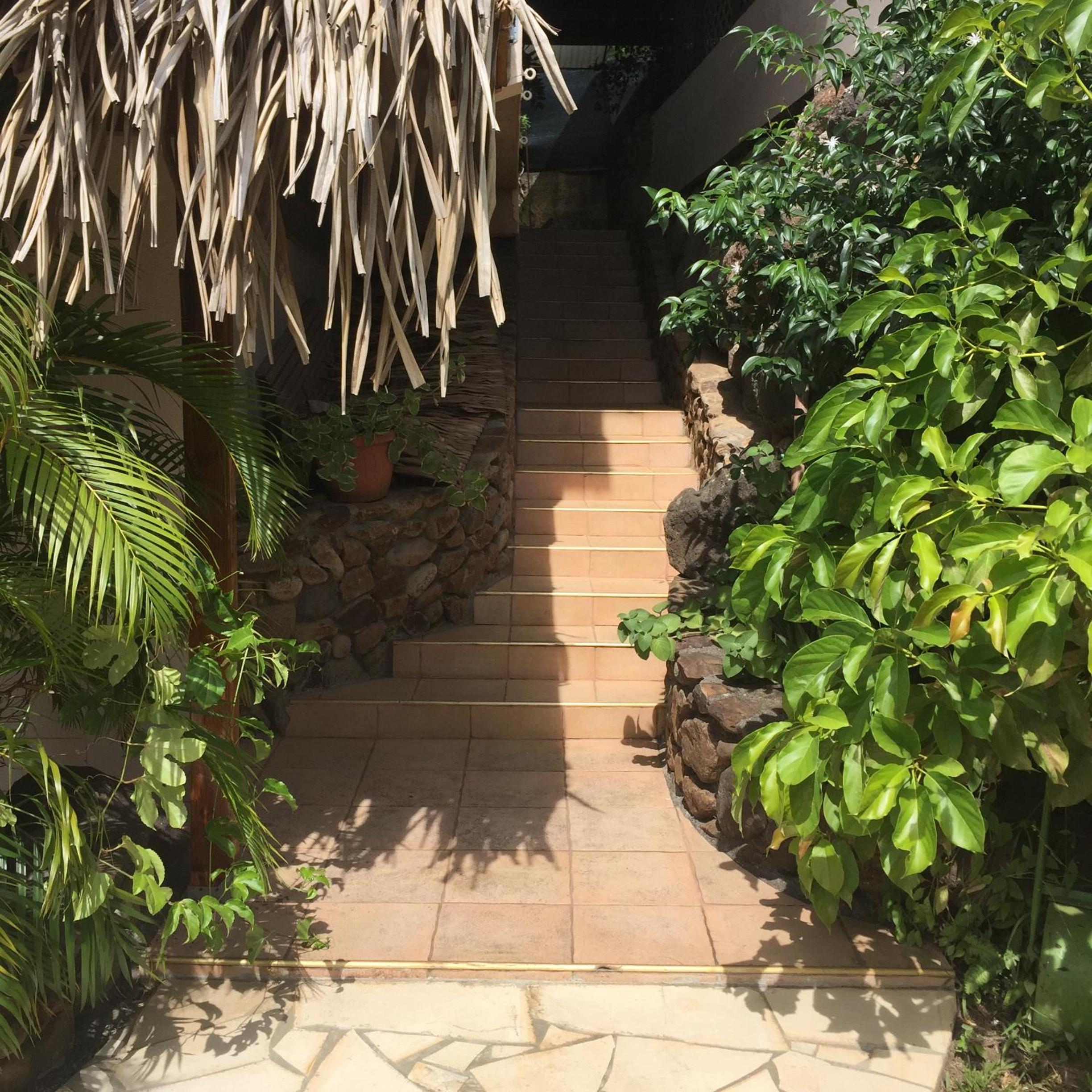花园景豪华小木屋
