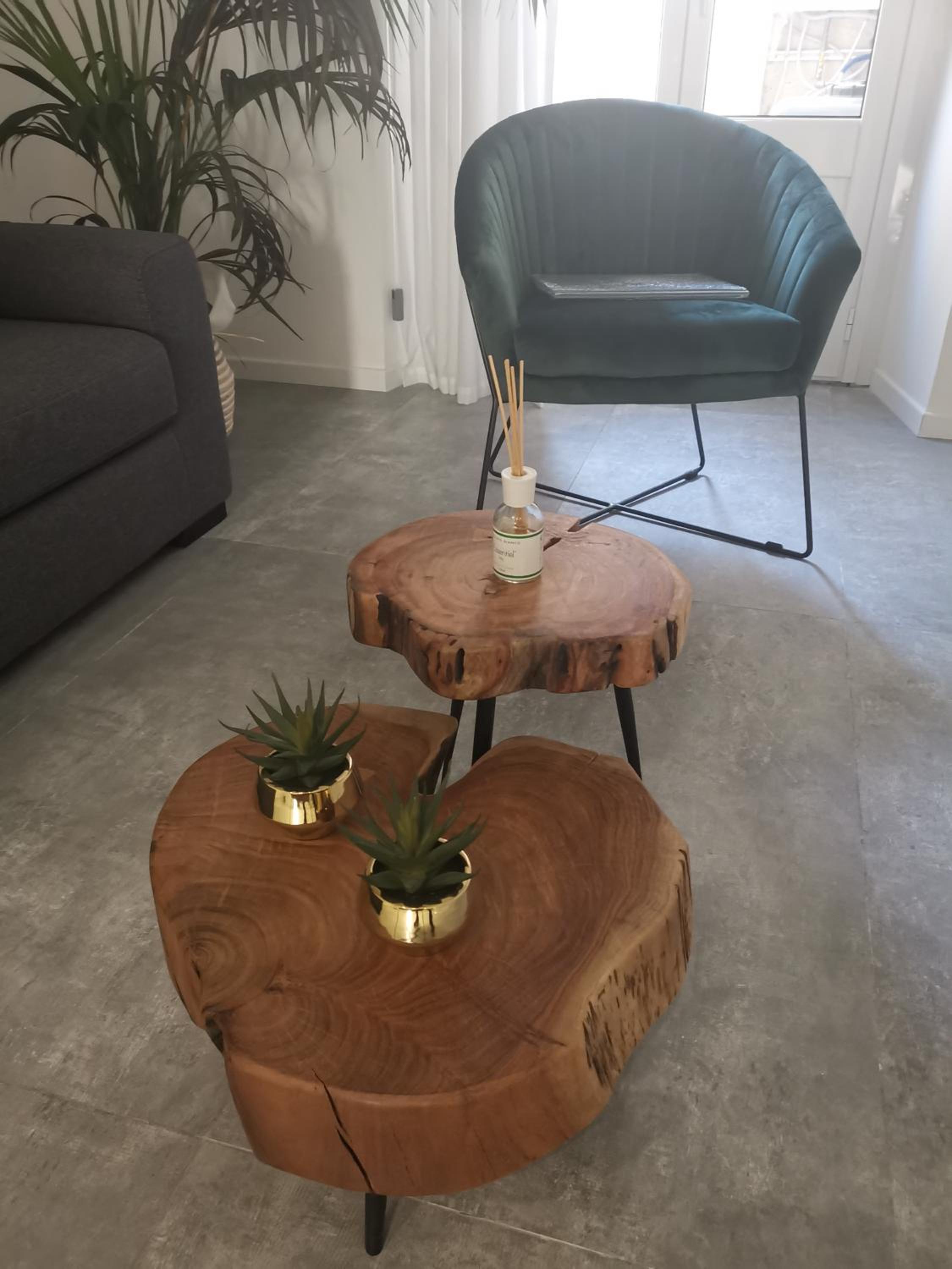 Apartment - Photo 7