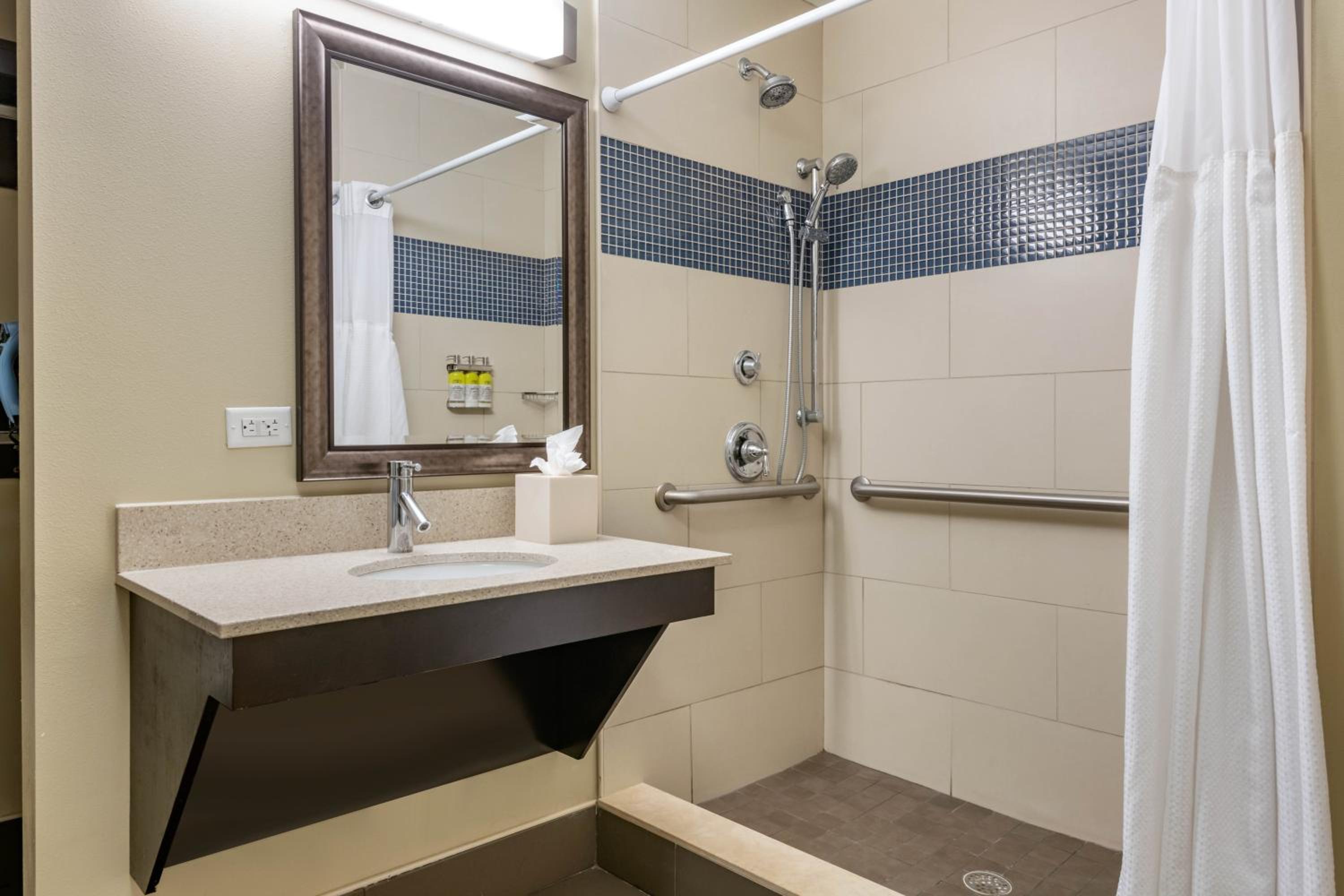 One-Bedroom Queen Suite - Hearing Accessible - Non-Smoking - Photo 10