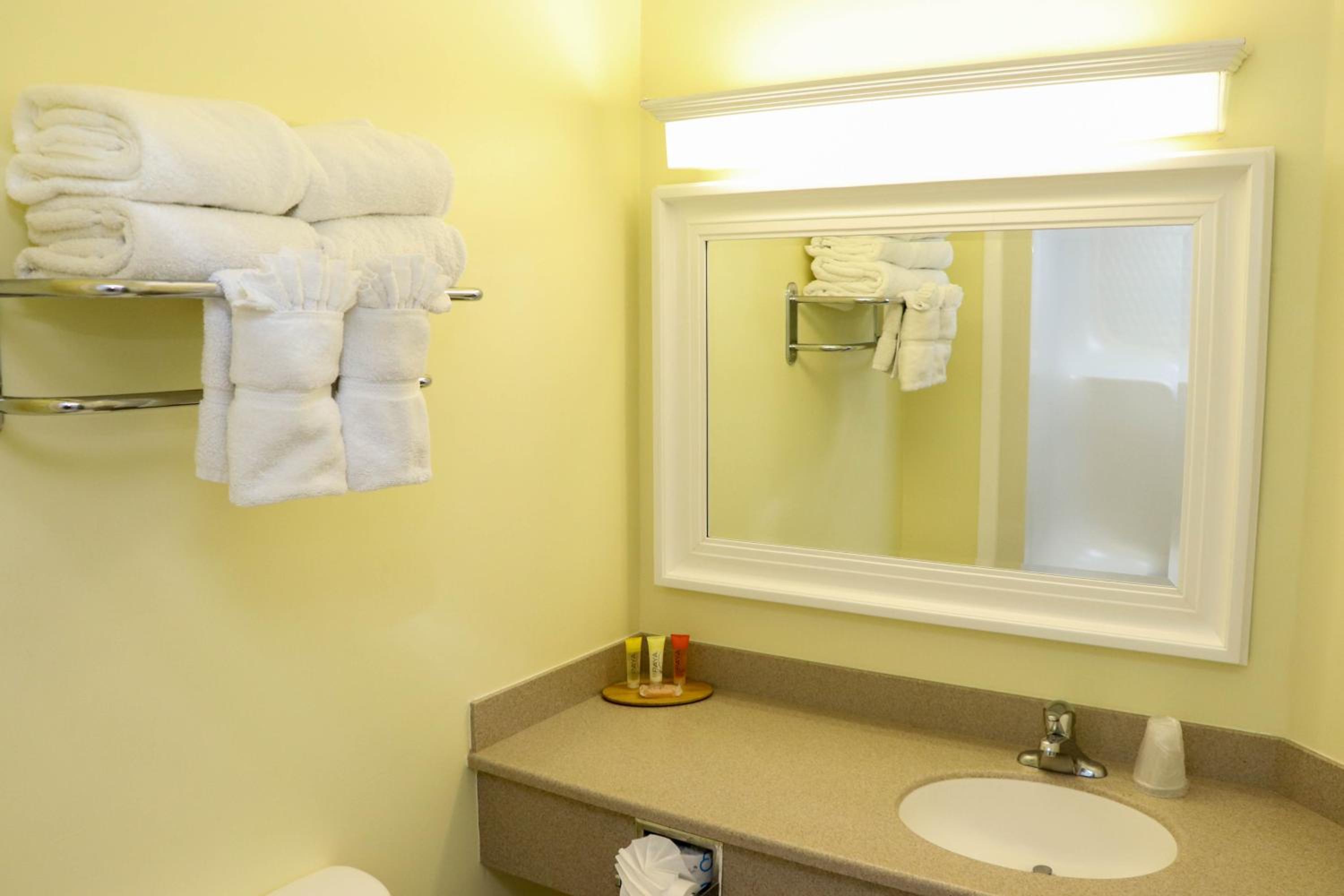 Deluxe King Suite photo 3