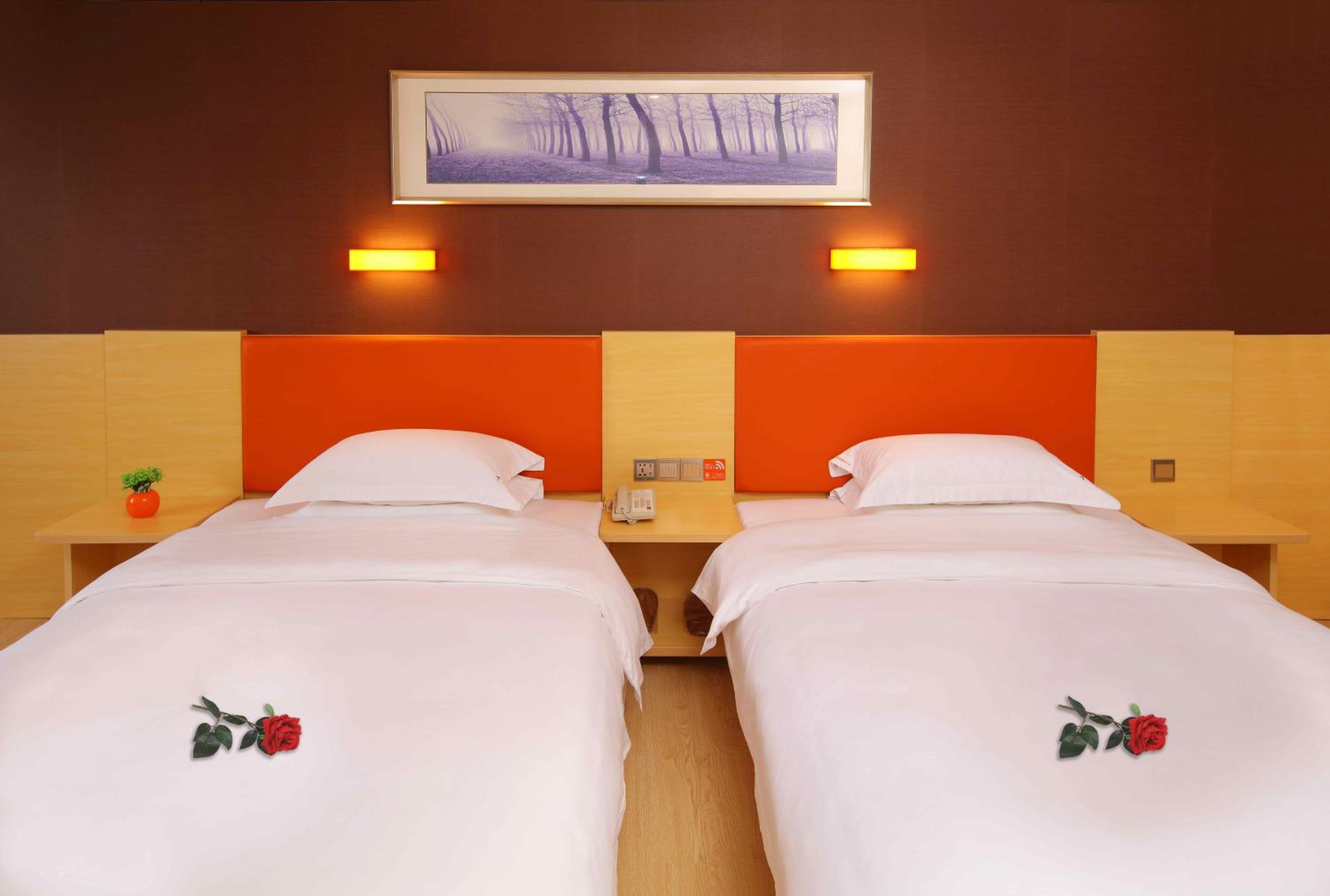 Twin Room photo 1