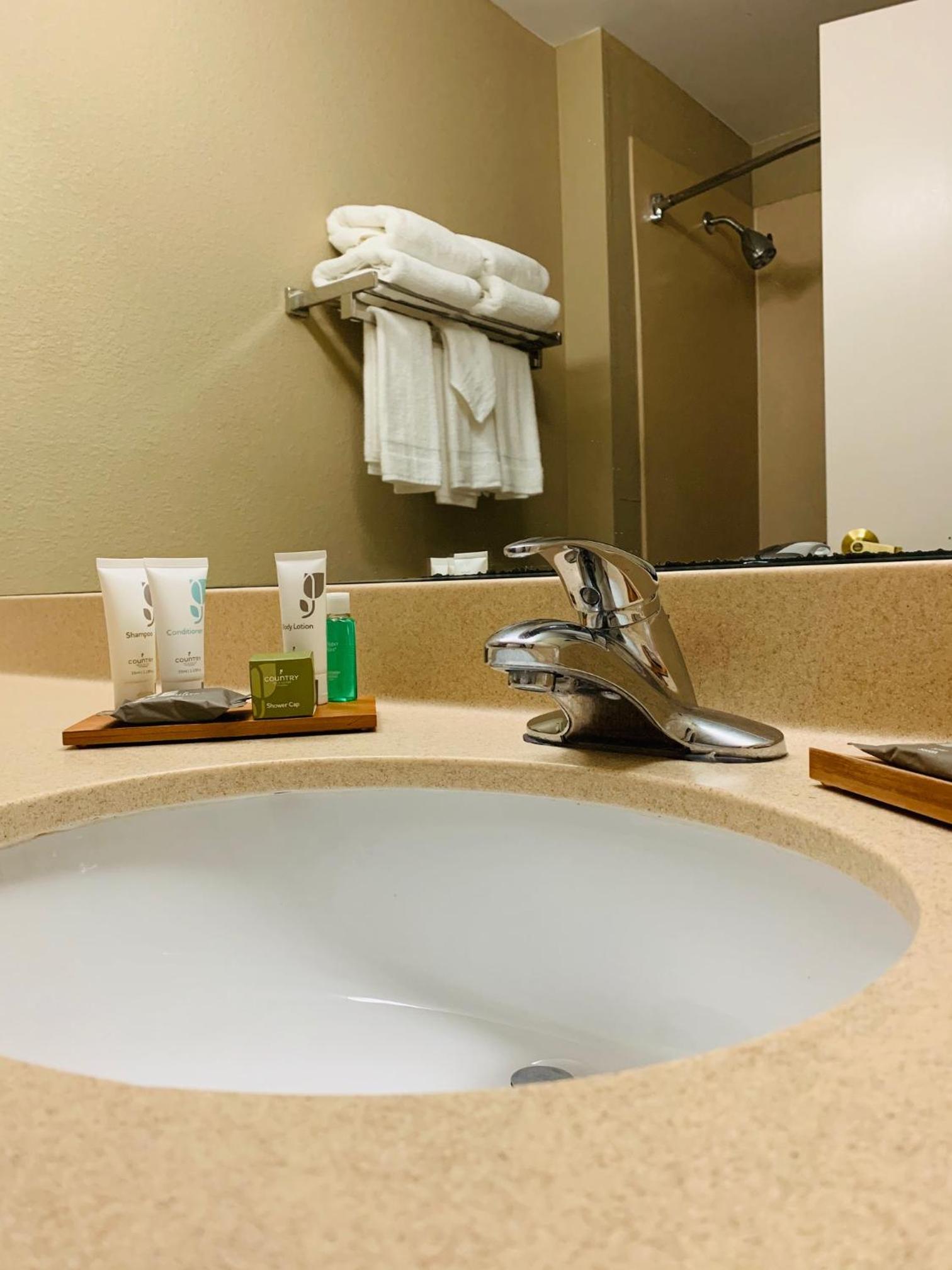 King Suite with Whirlpool - Photo 10