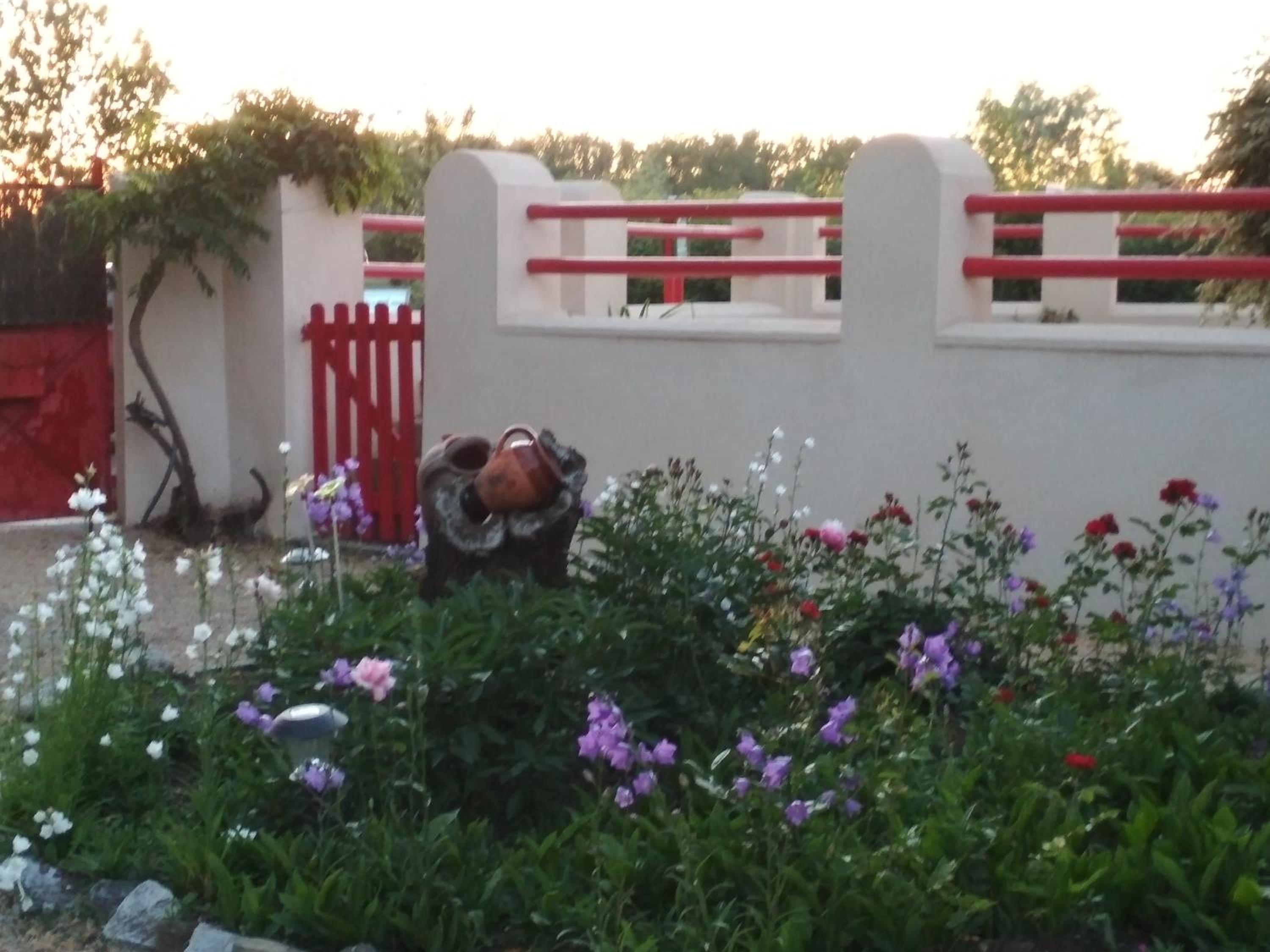 Double Room with Garden View