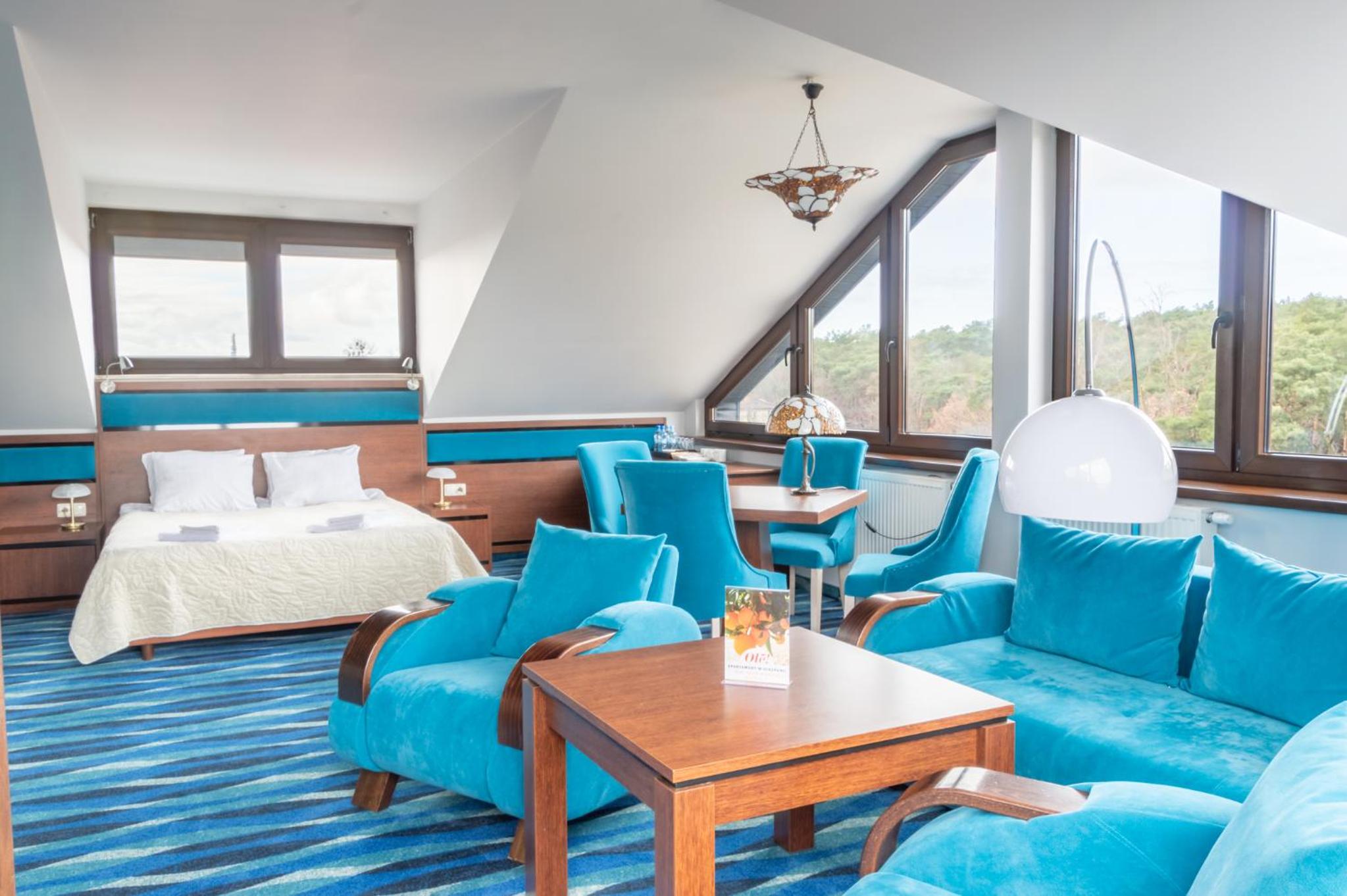 Deluxe King Suite photo 3