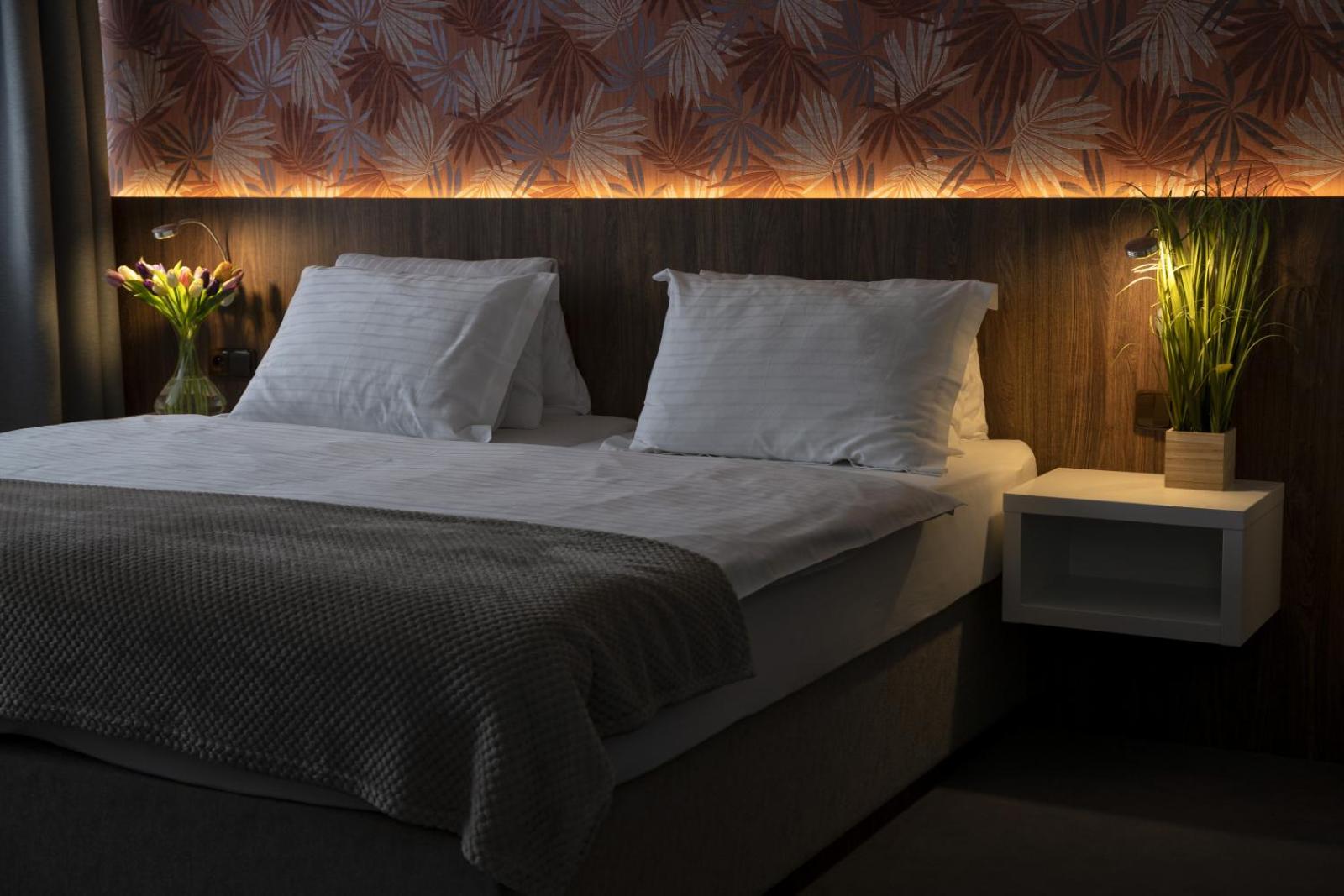 Deluxe Double Room photo 3
