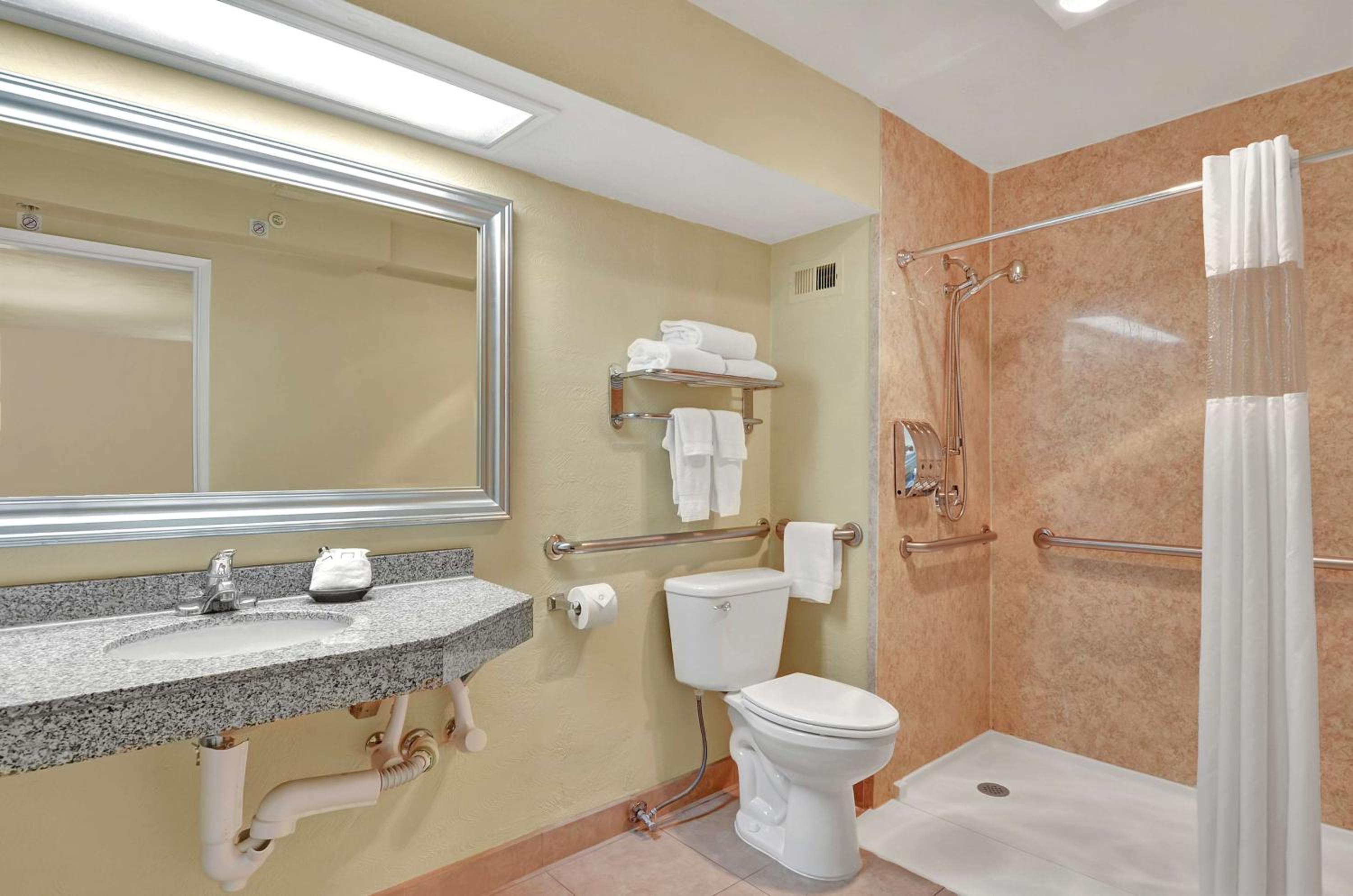 Queen Room with Roll-In Shower - Mobility Accessible/Non-Smoking - Photo 3