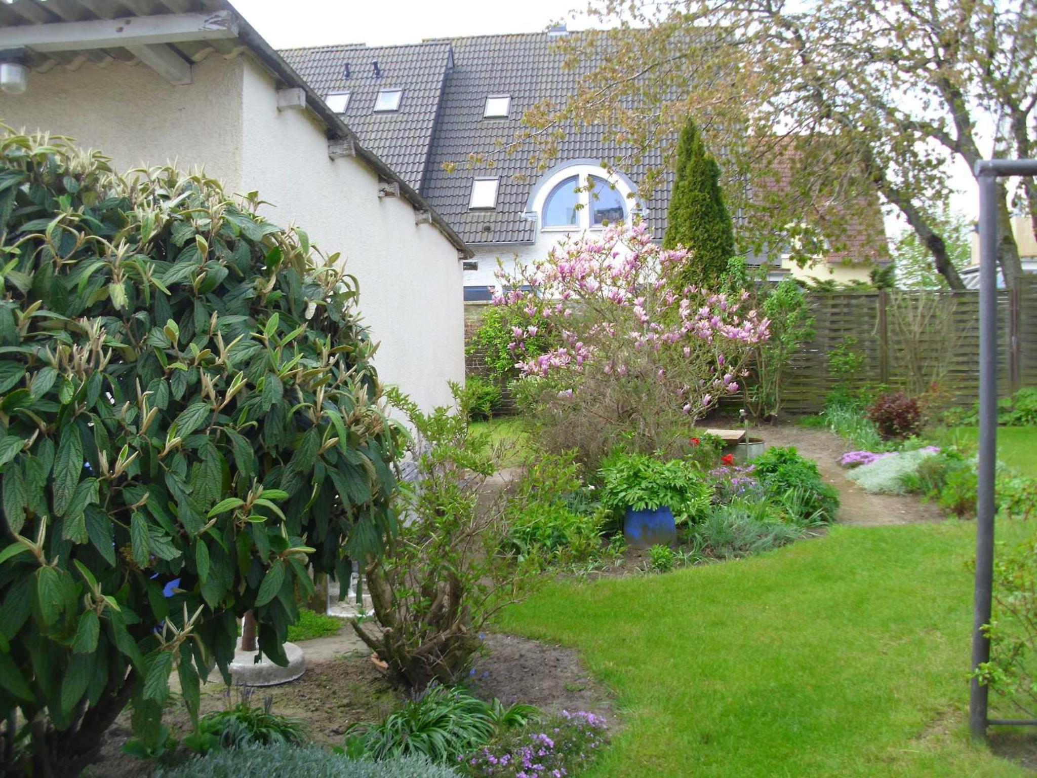 Apartment with Terrace photo 3