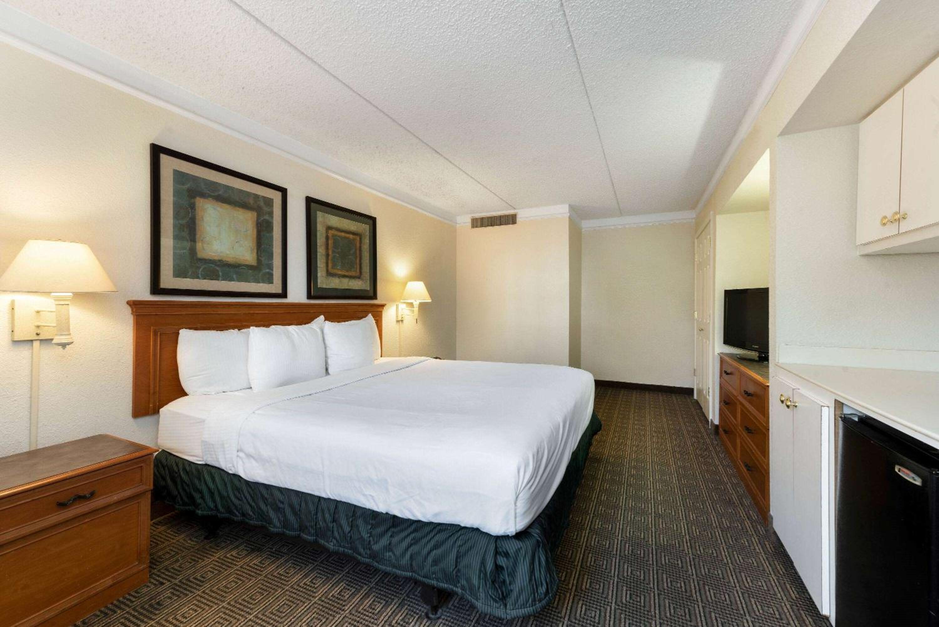 King Suite photo 2