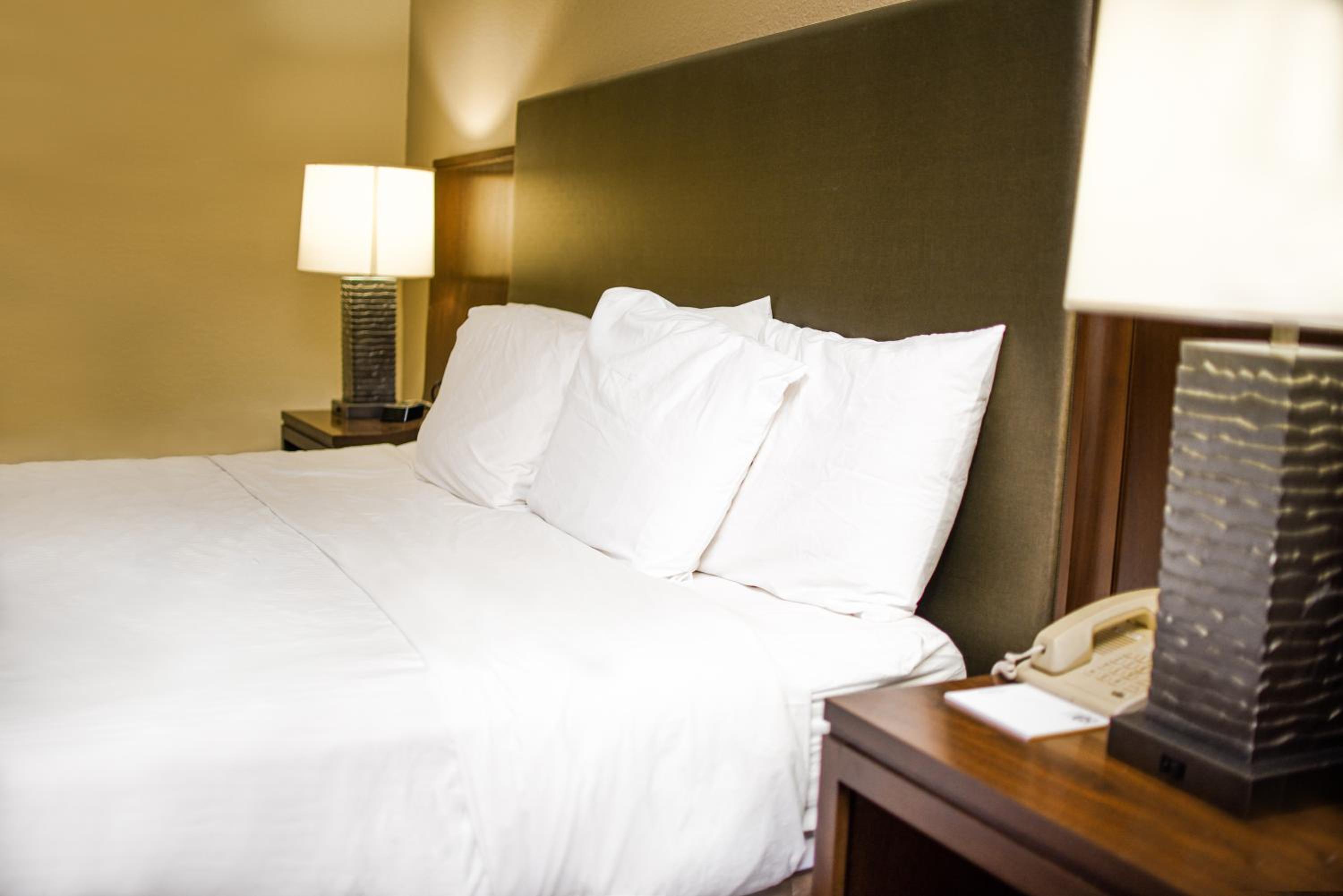 King Room photo 1
