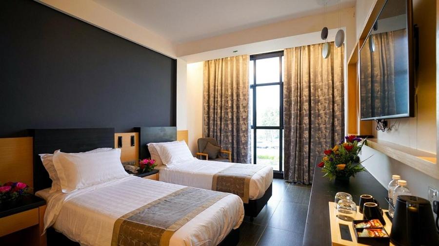 Deluxe Twin Room - Photo 1