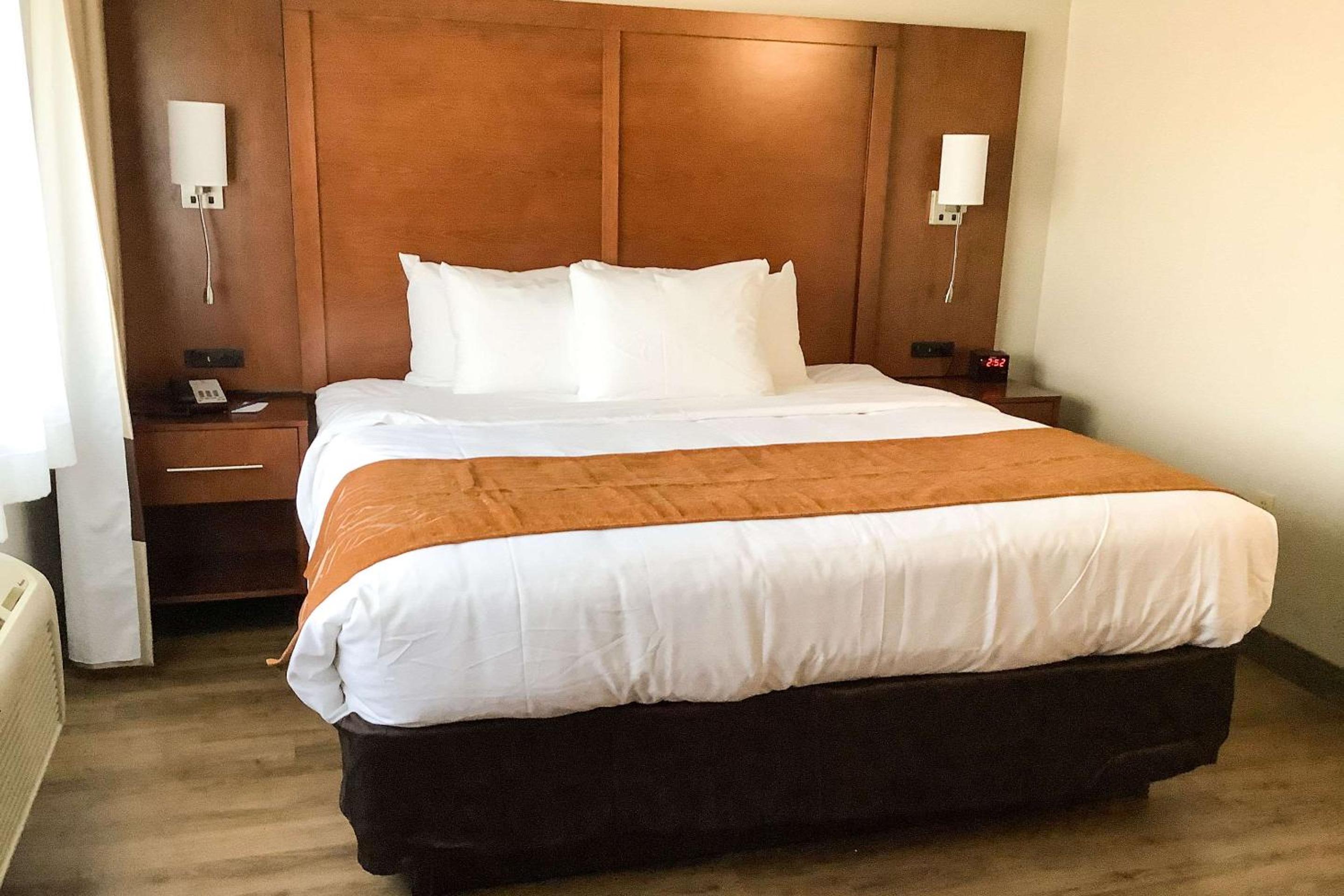 One Bedroom King Suite with Sofa Bed - Non-Smoking photo 1