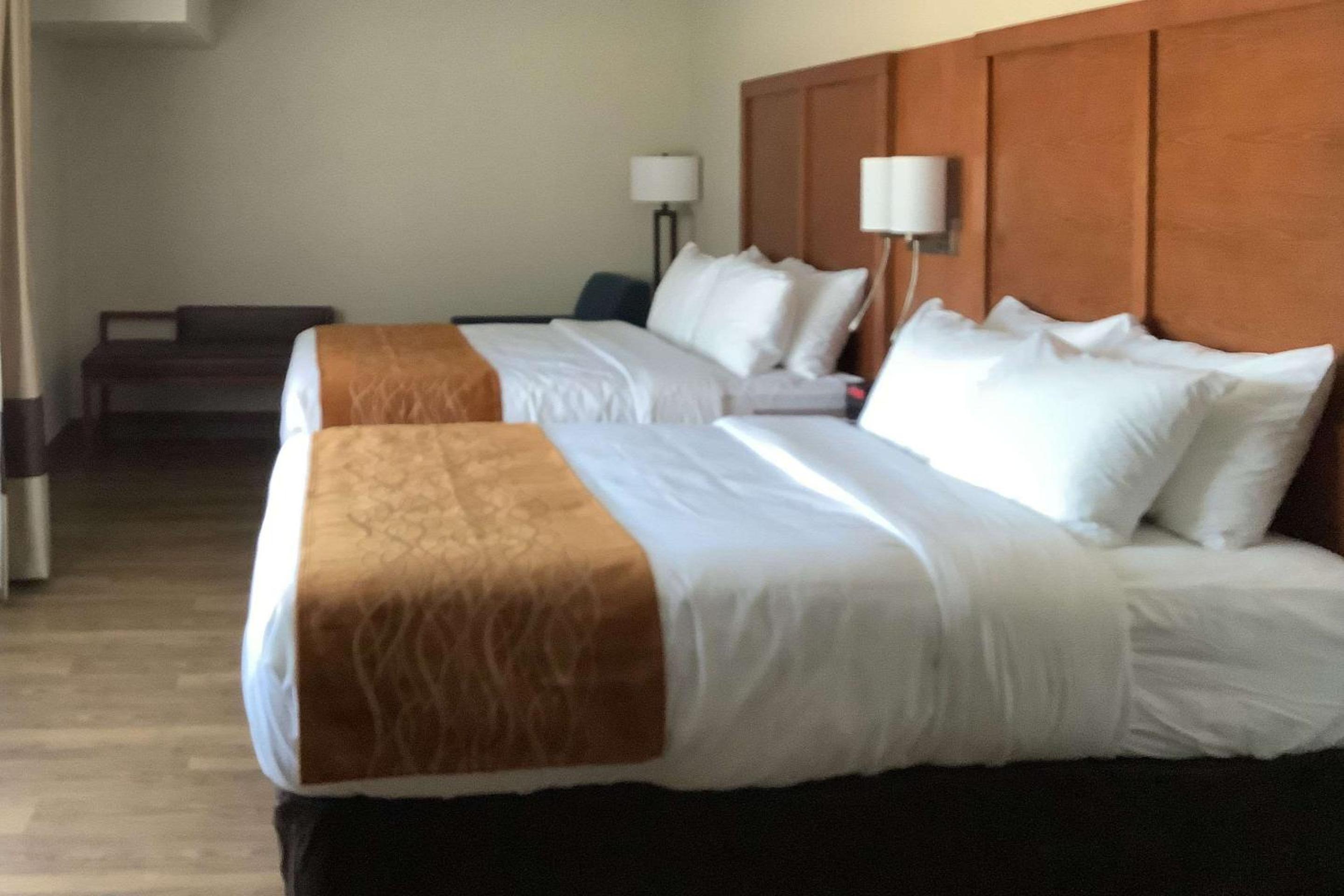 Queen Suite with Two Queen Beds - Non-Smoking photo 2