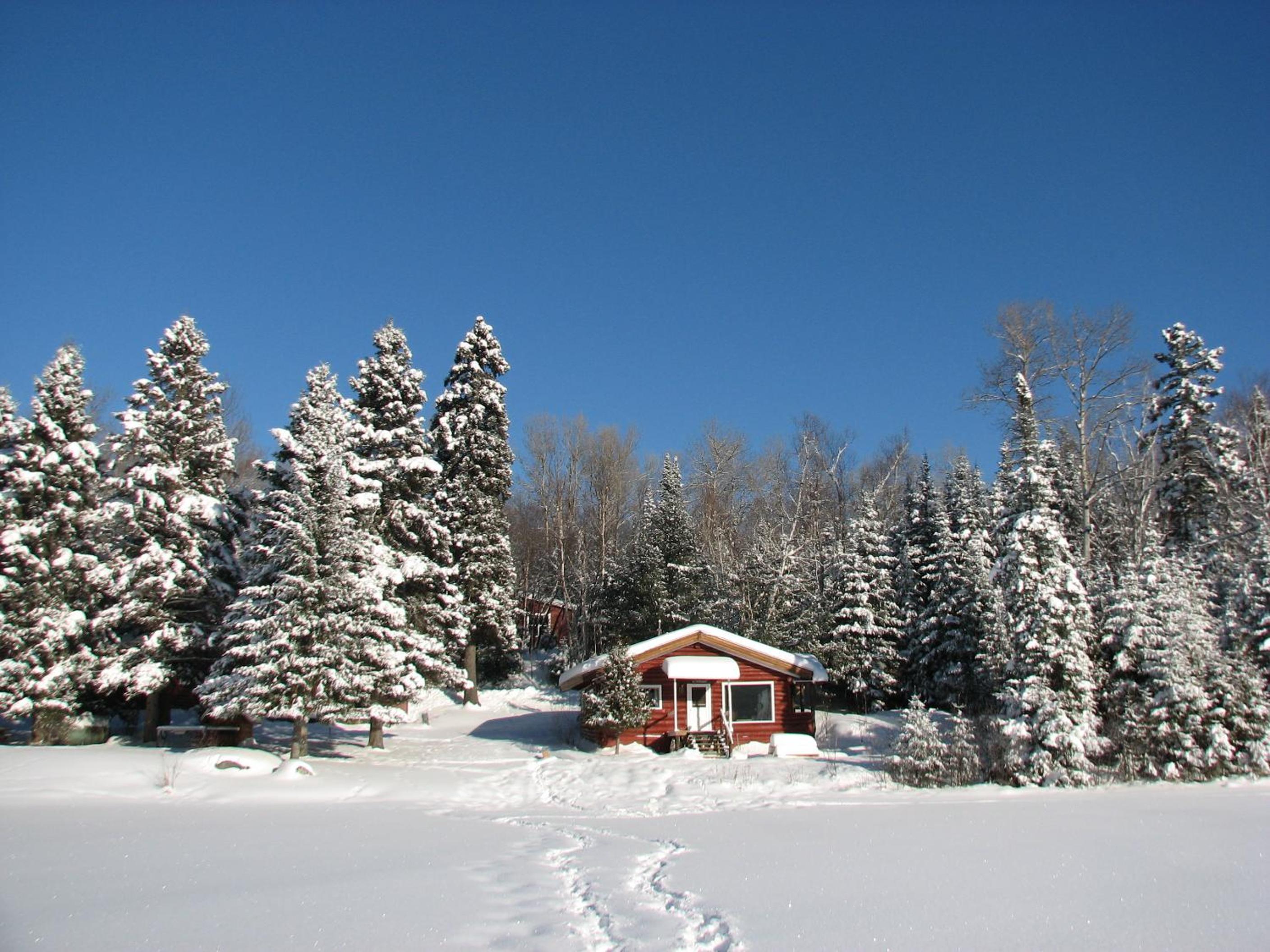 Three-Bedroom Chalet photo 2