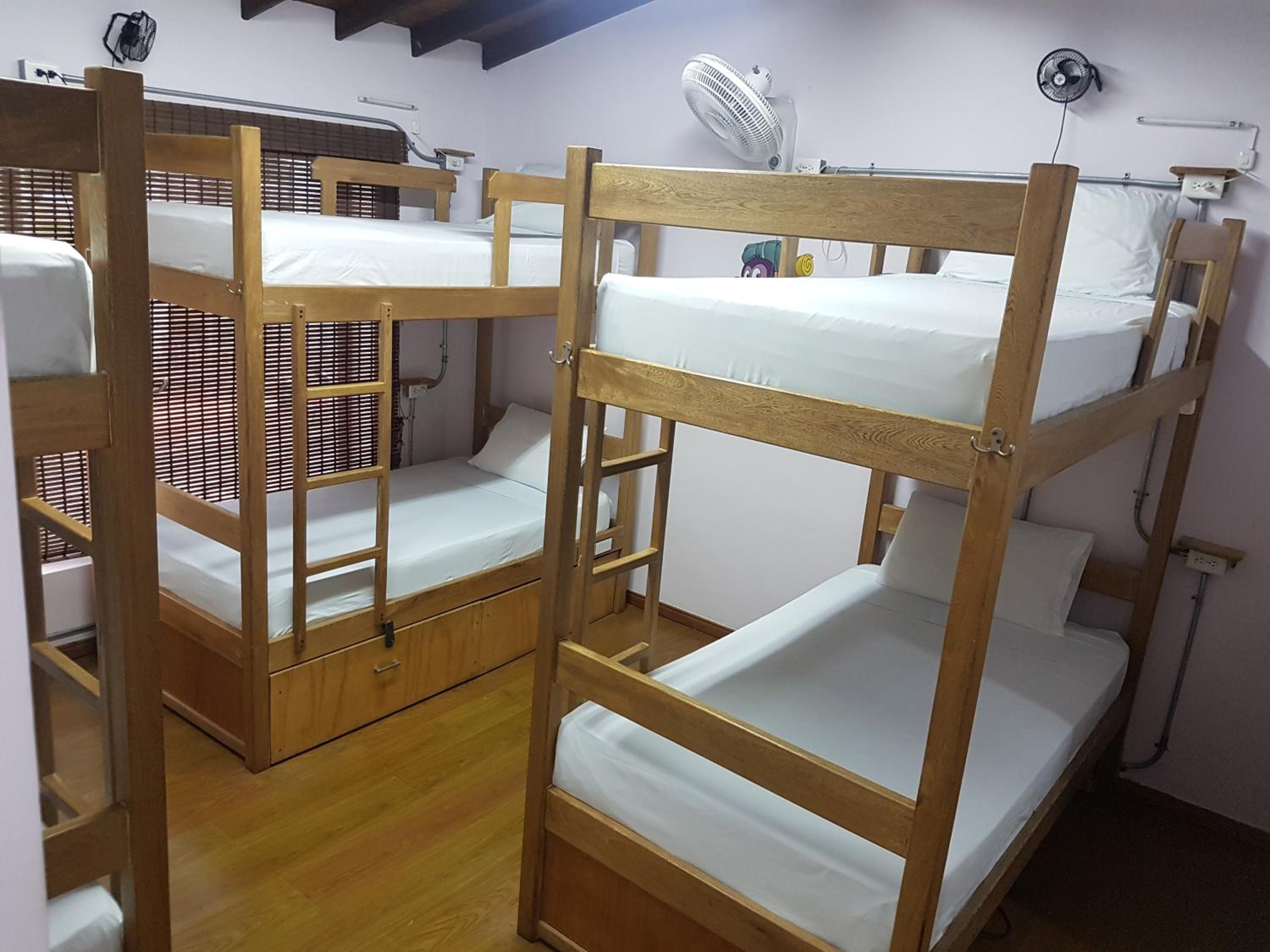 Bed in 6-Bed Mixed Dormitory Room with Bathroom photo 2
