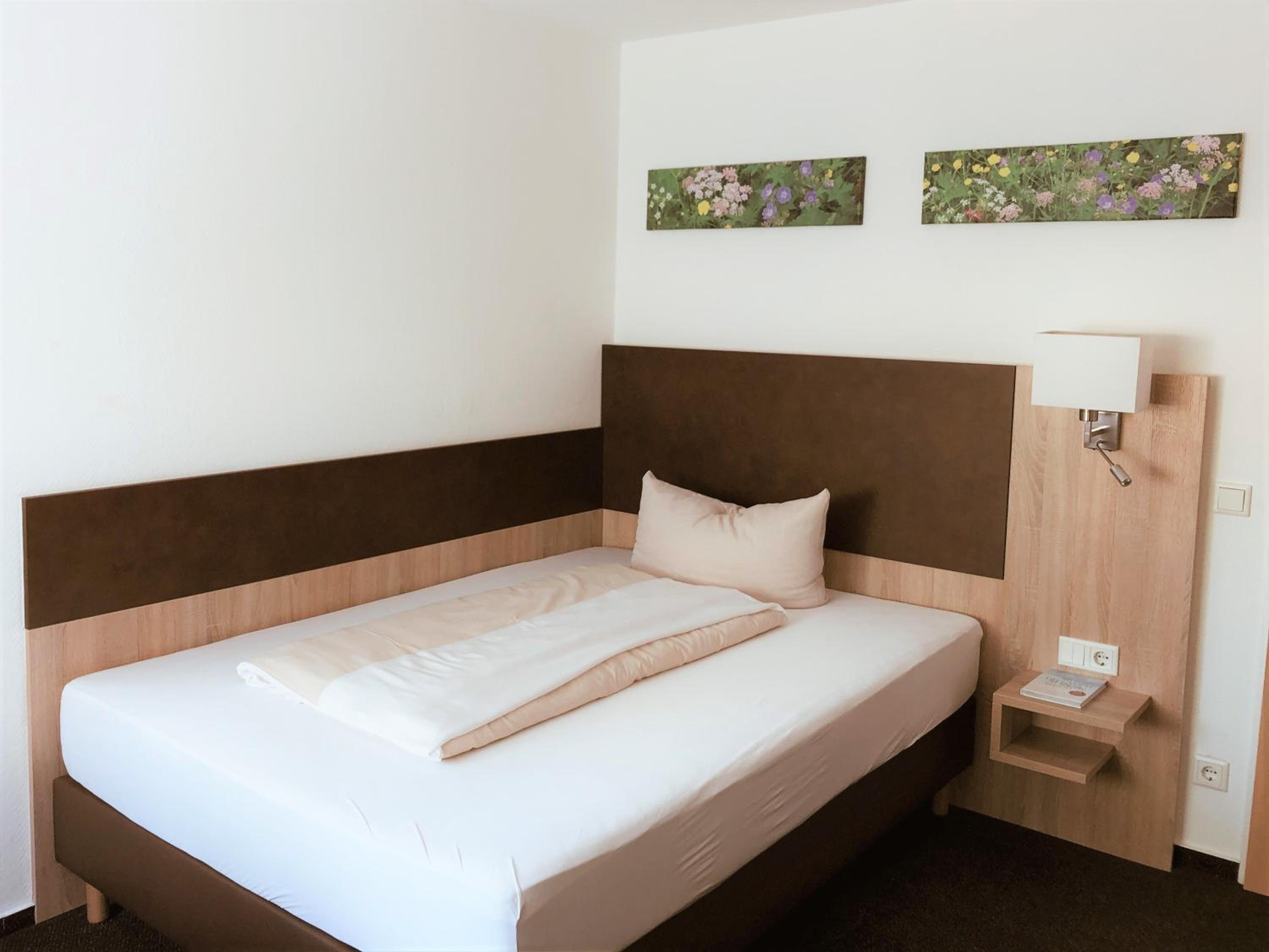 Large Single Room photo 3