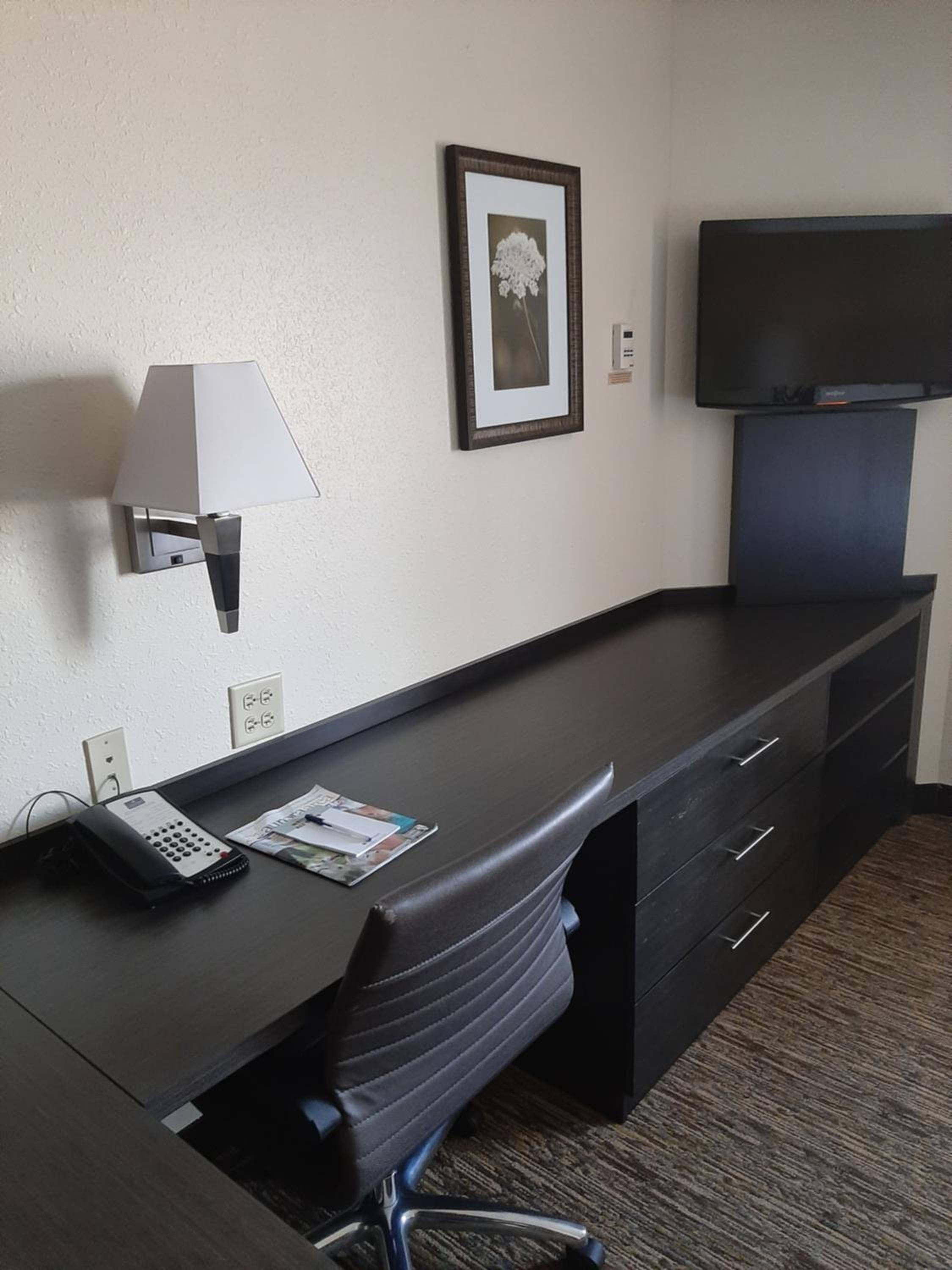 Studio Suite - Photo 1