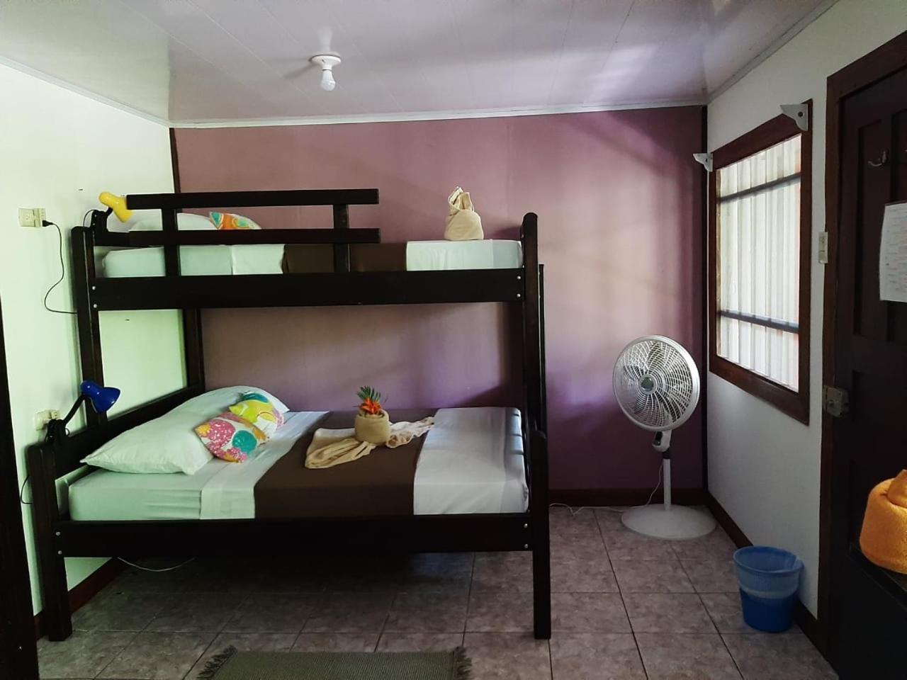Basic family Room with fan photo 2