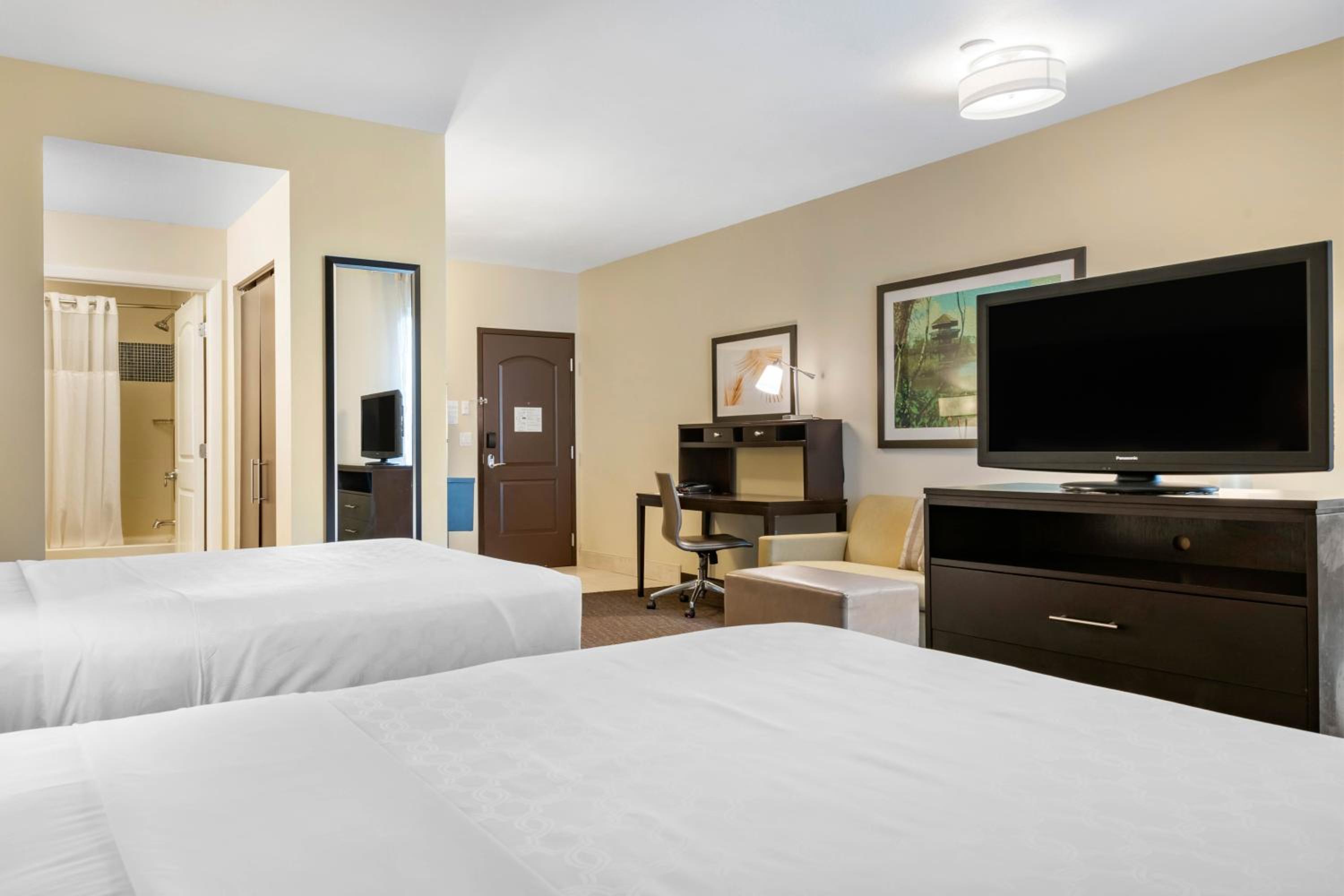 Studio Suite - Photo 10