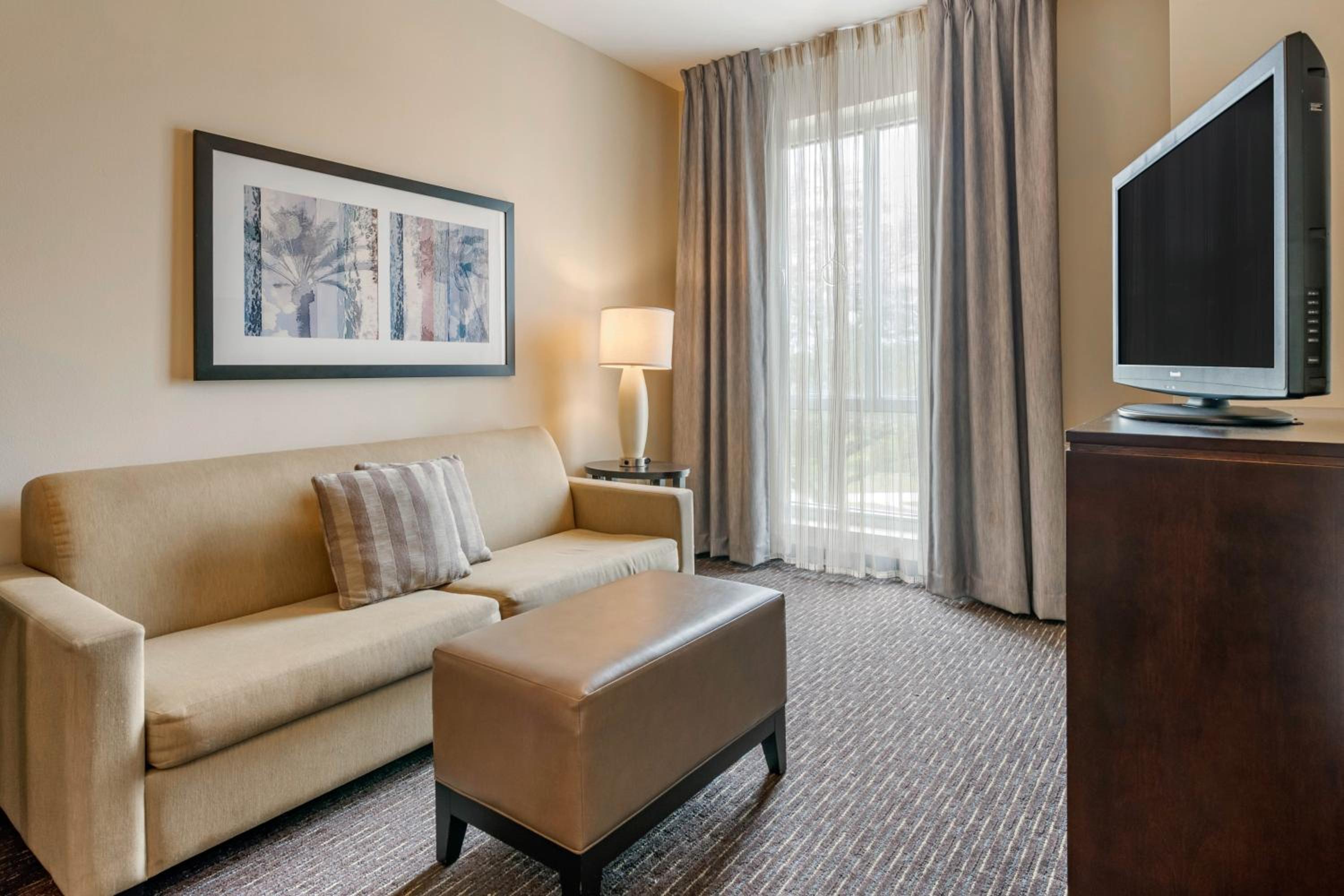 Studio Suite - Photo 8