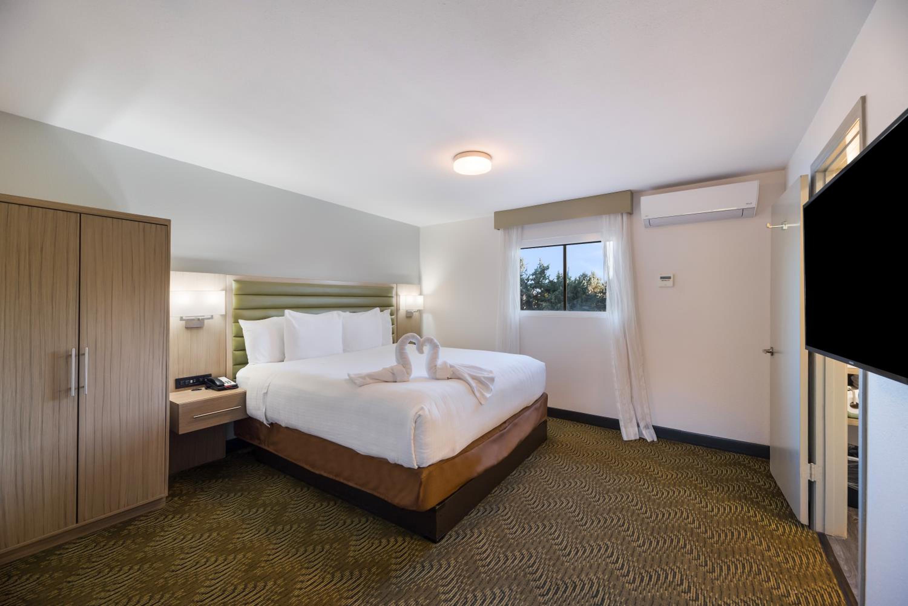 Premium Suite Mountain View - Photo 7