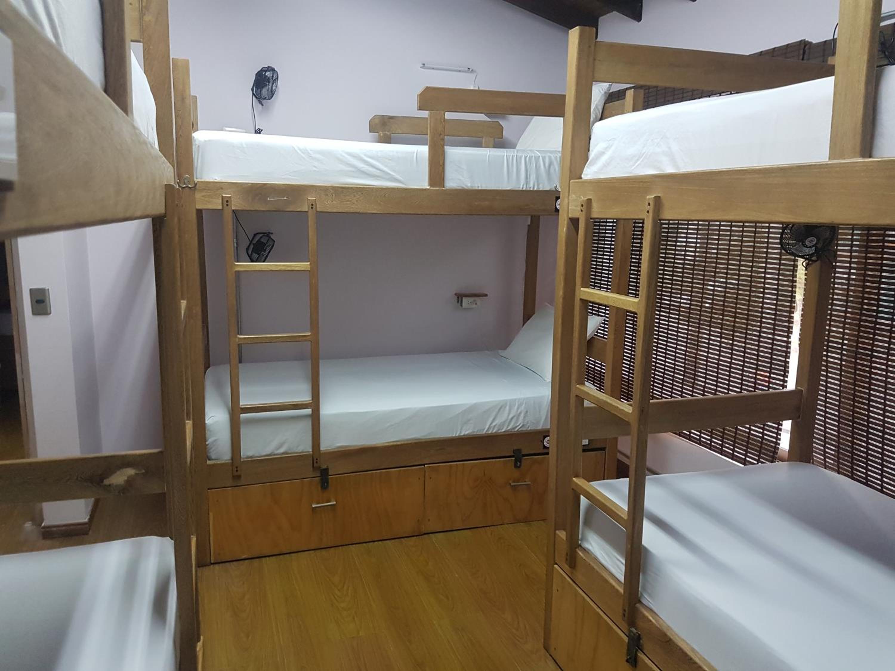 Bed in 6-Bed Mixed Dormitory Room with Bathroom photo 1
