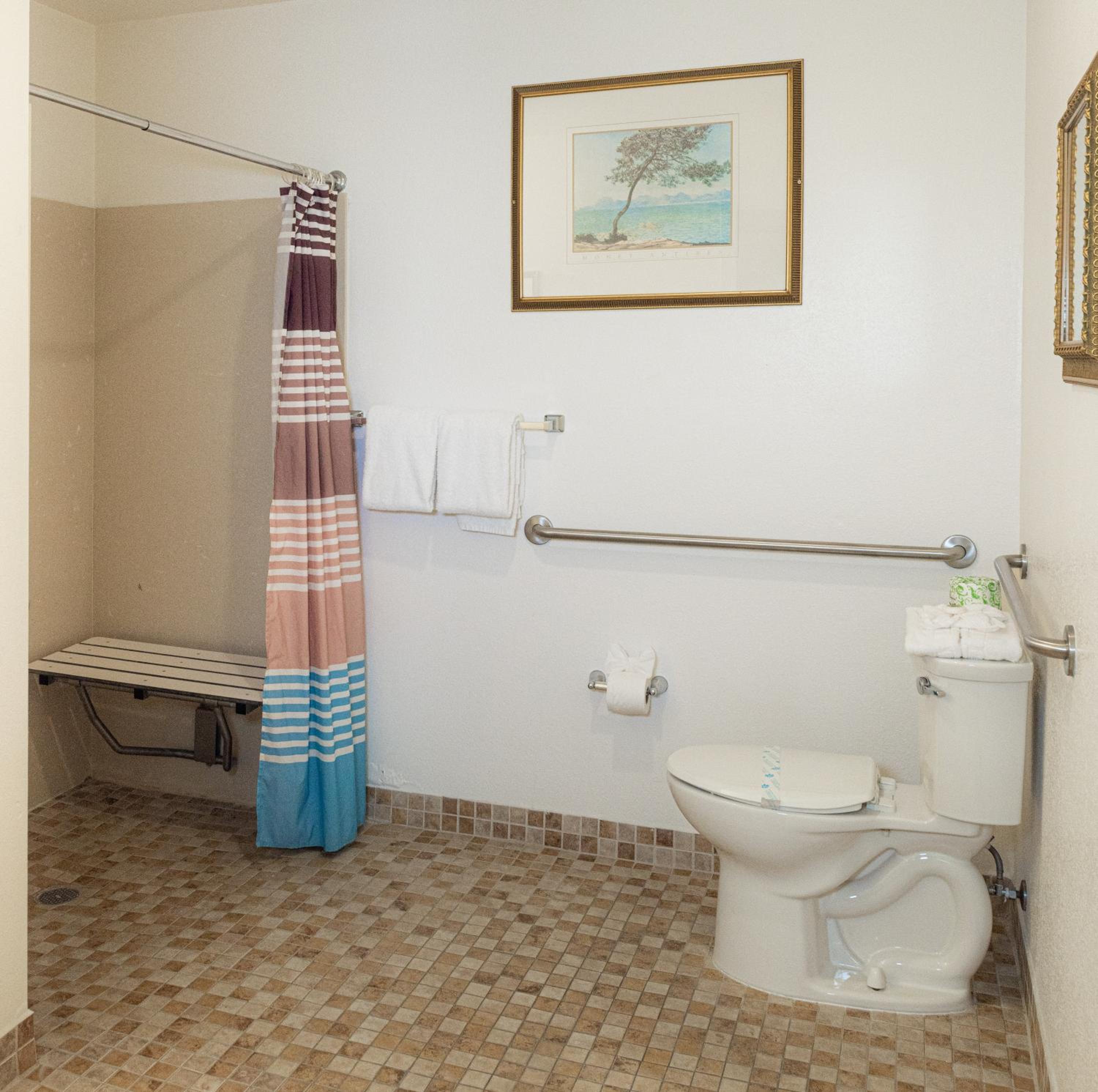 Queen Room - Disability Access - Photo 4