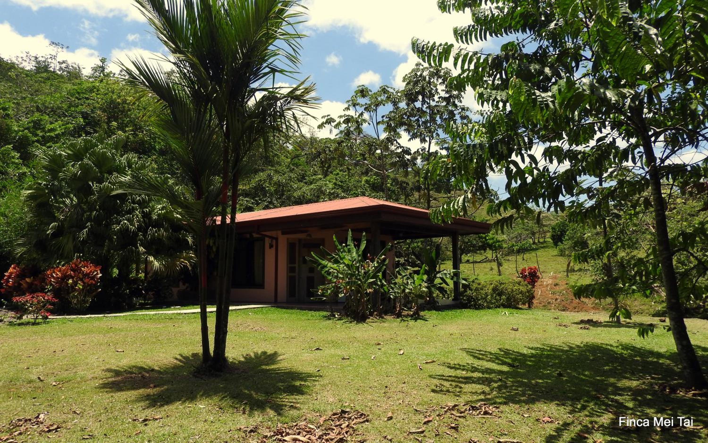 Quadruple Room with Garden View photo 3