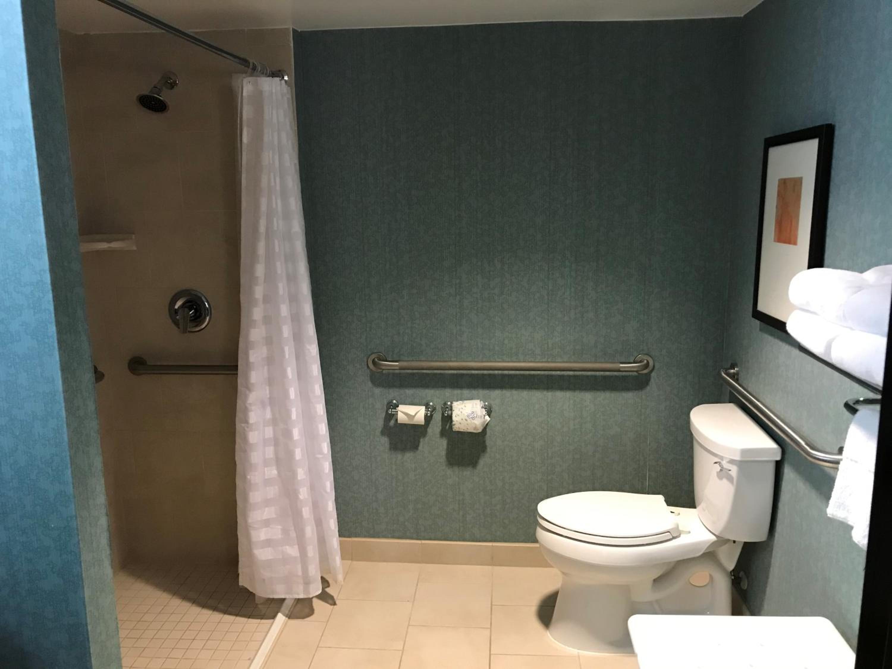Queen Room with Roll-In Shower - Accessible - Photo 4
