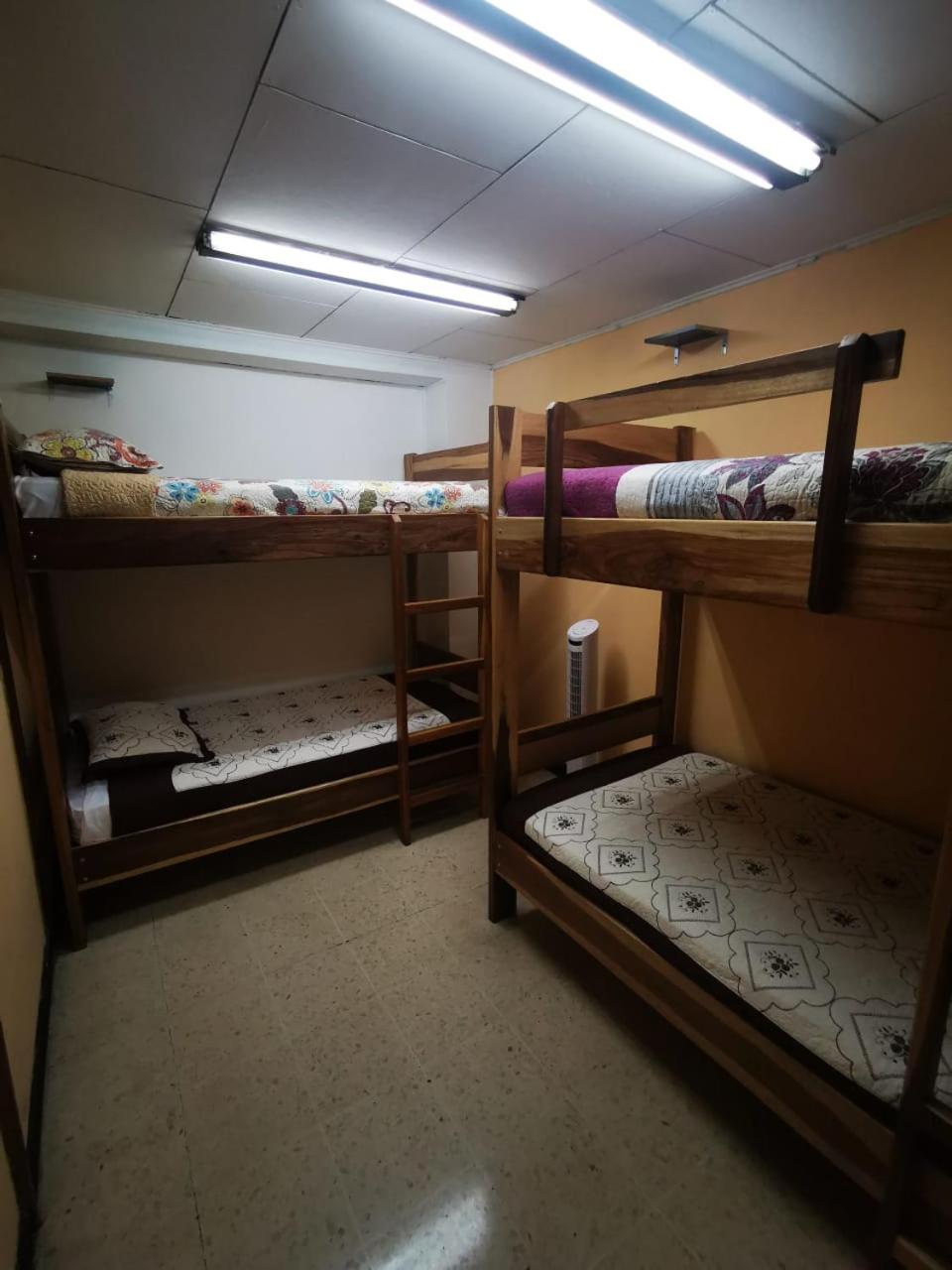 Bed in 4-Bed Dormitory Room photo 3