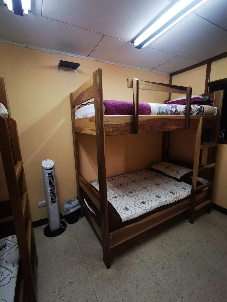 Bed in 4-Bed Dormitory Room photo 2