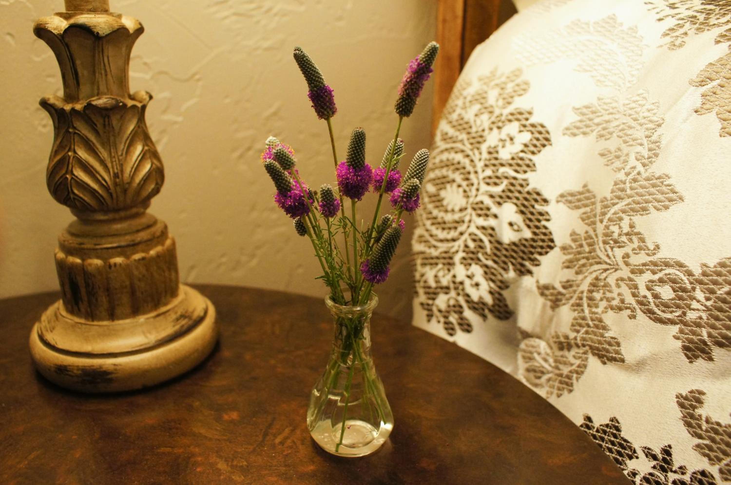 Deluxe Queen Room photo 3