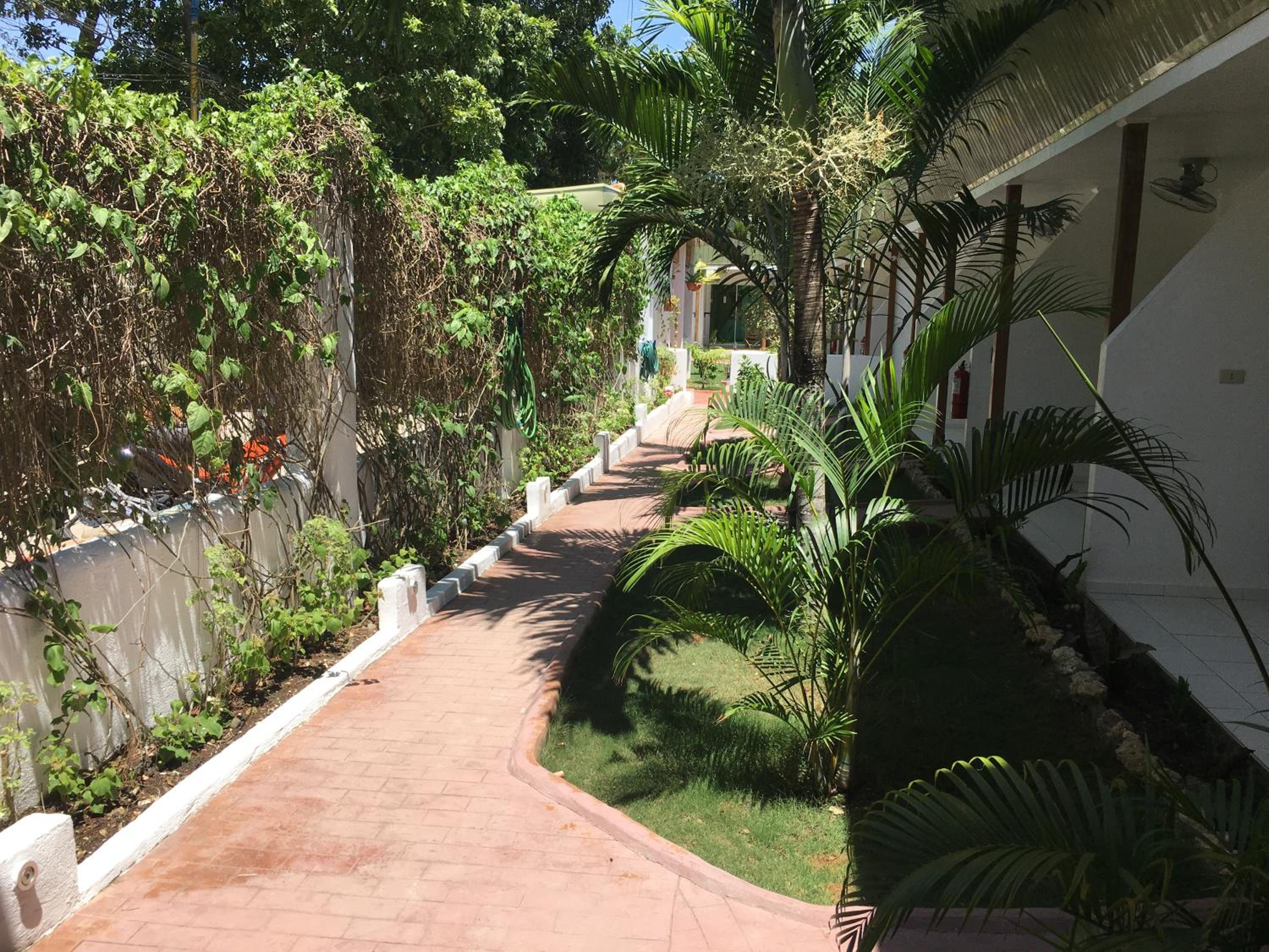 Double Room with Terrace photo 3