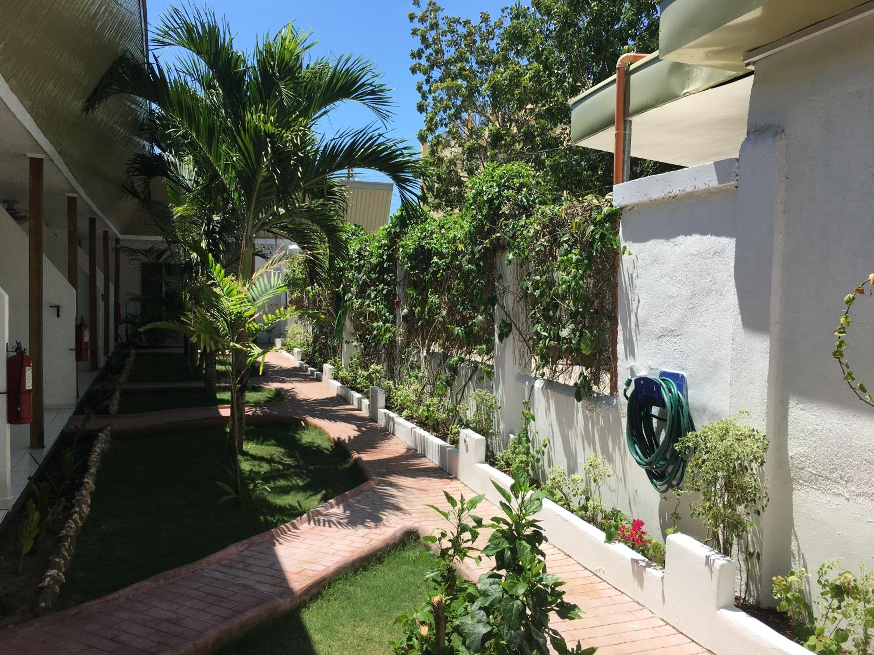 Twin Room with Terrace photo 2