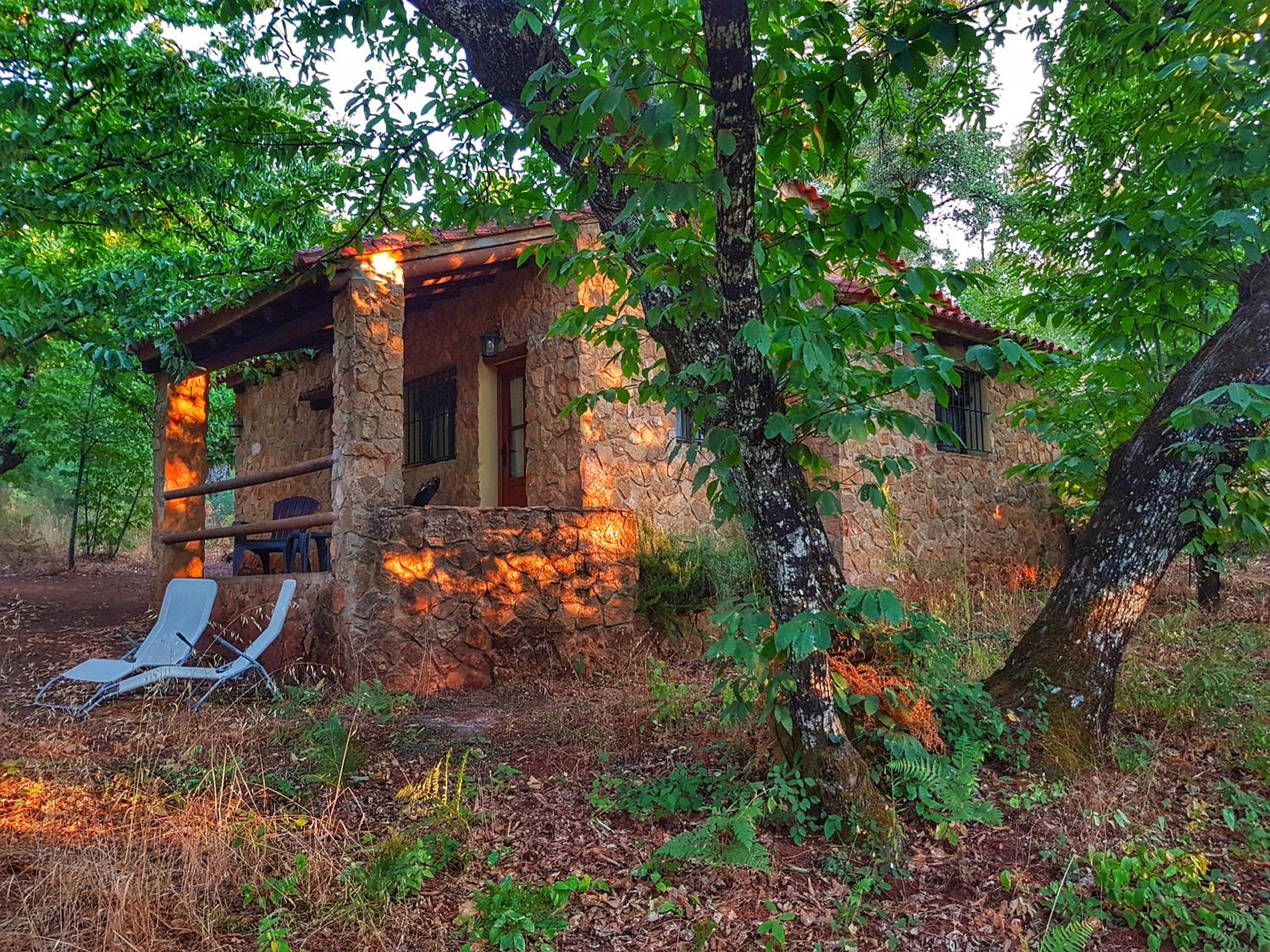 One-Bedroom House photo 3