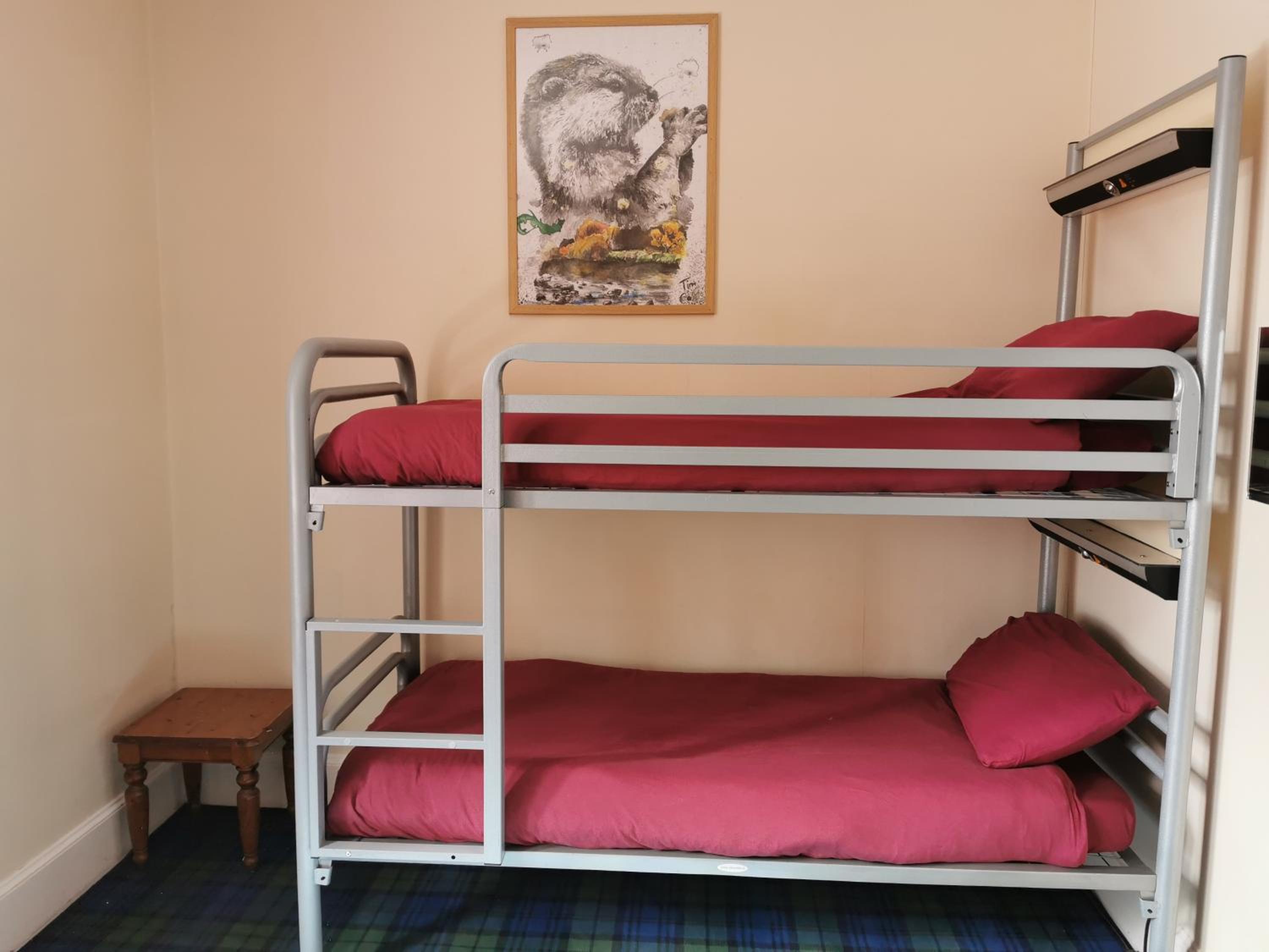 Bed in 4-Bed Mixed Dormitory Room with Shared Bathroom photo 2