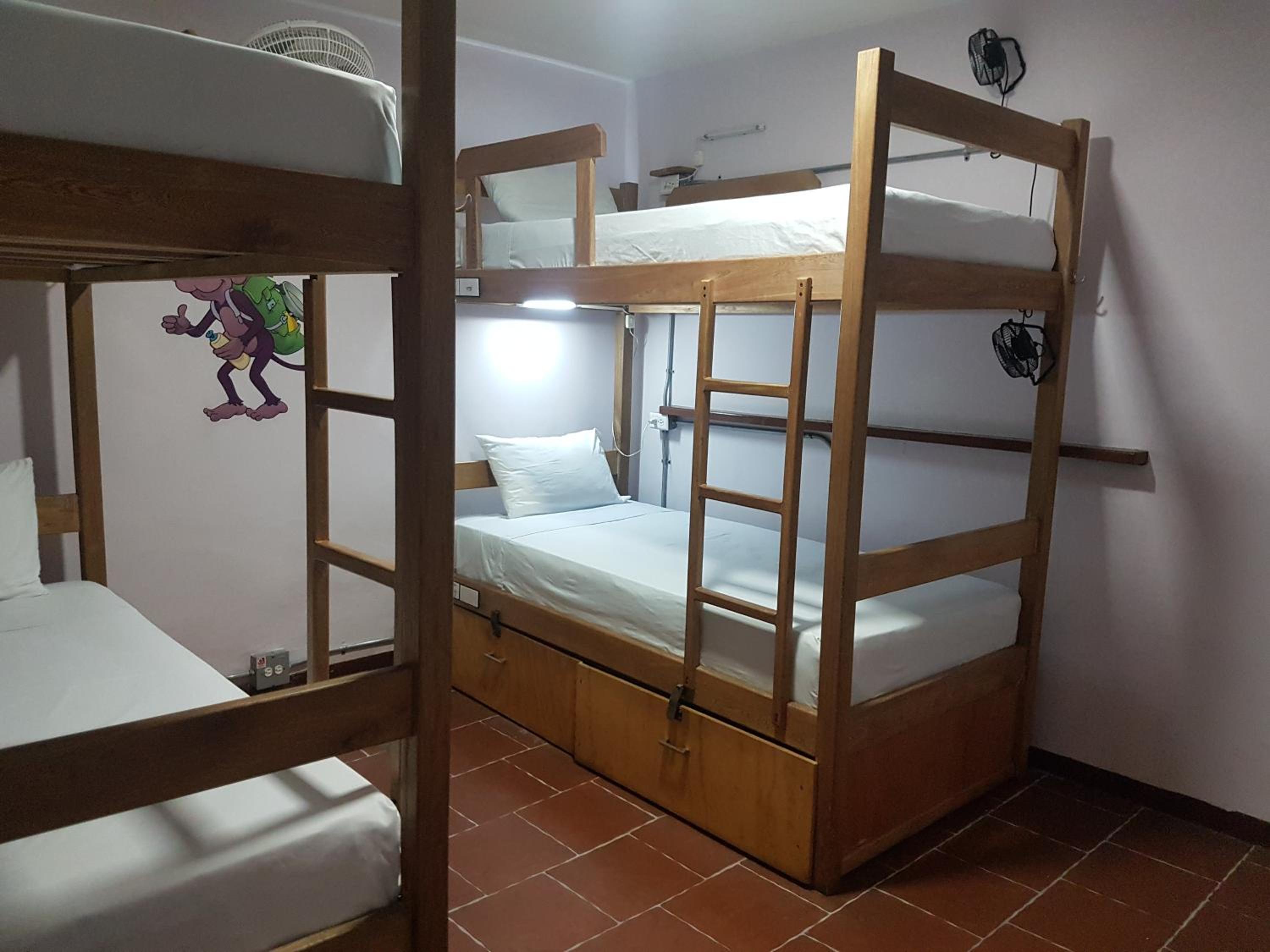Bed in 4-Bed Dormitory Room photo 1