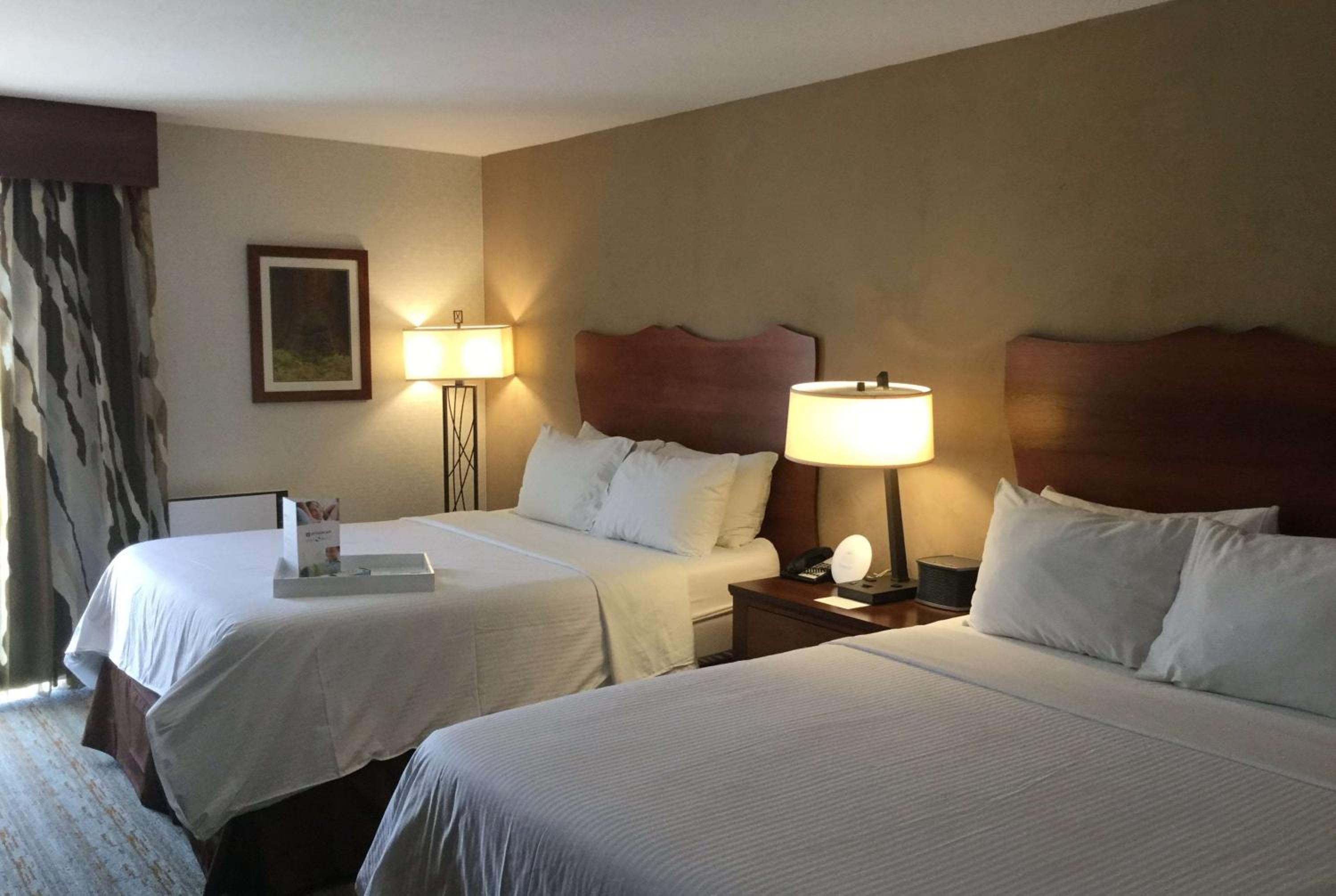 Executive Wellness Queen Room with Two Queen Beds photo 1