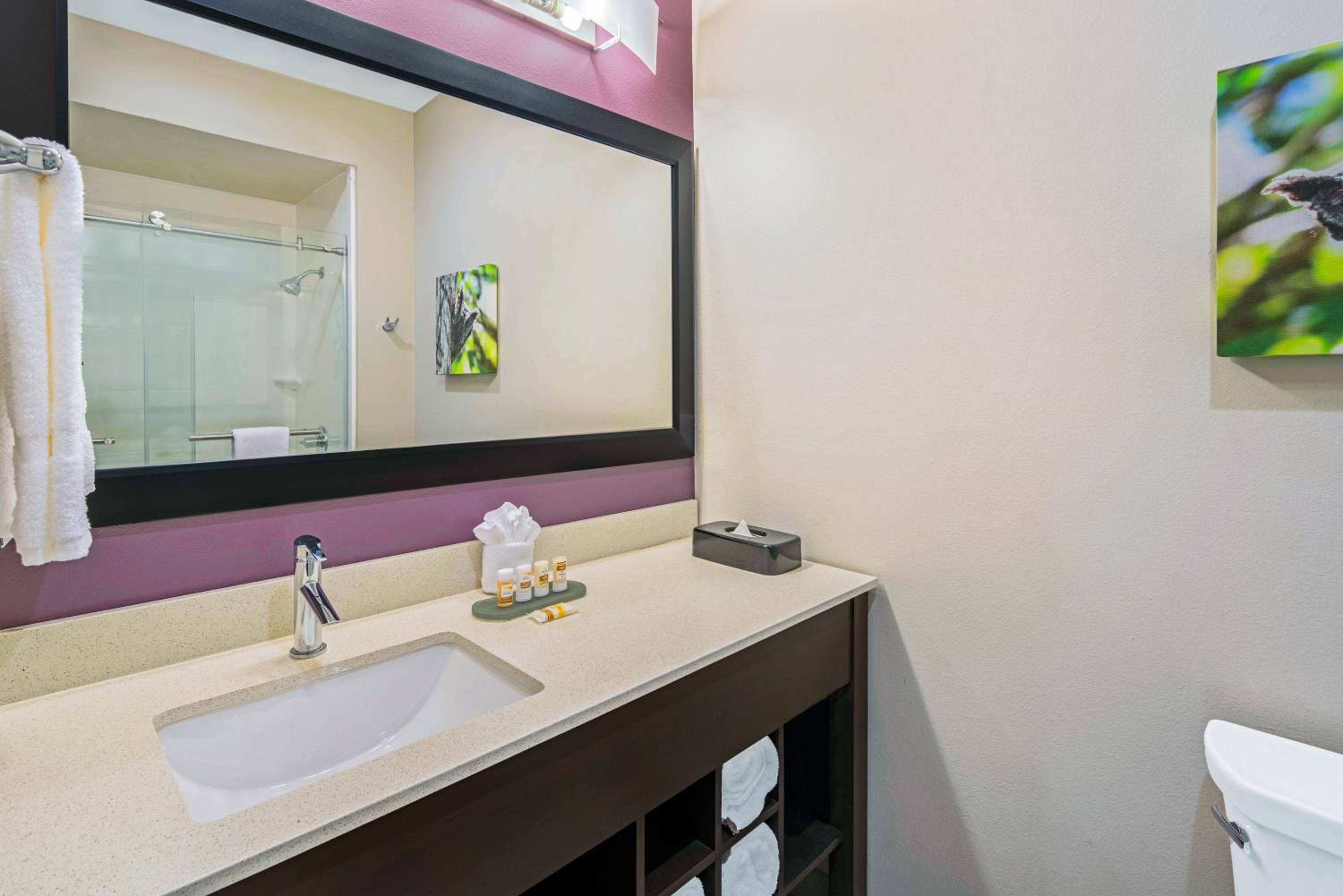 La Quinta by Wyndham McAllen La Plaza Mall, Foto 6