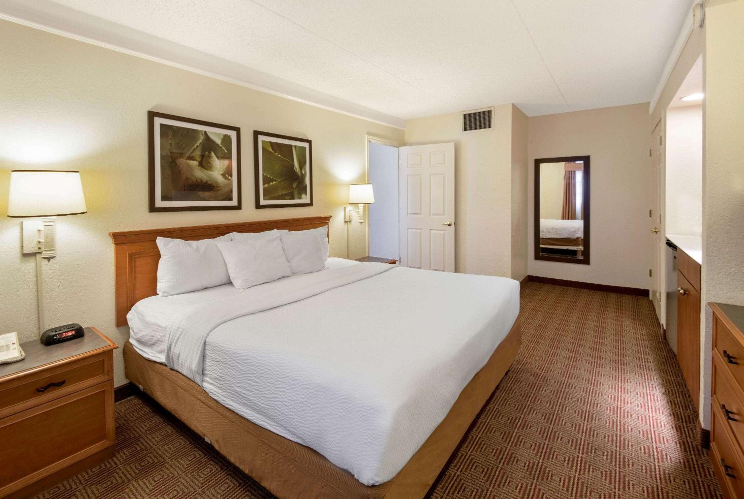 Deluxe King Suite - Non-Smoking - Photo 1