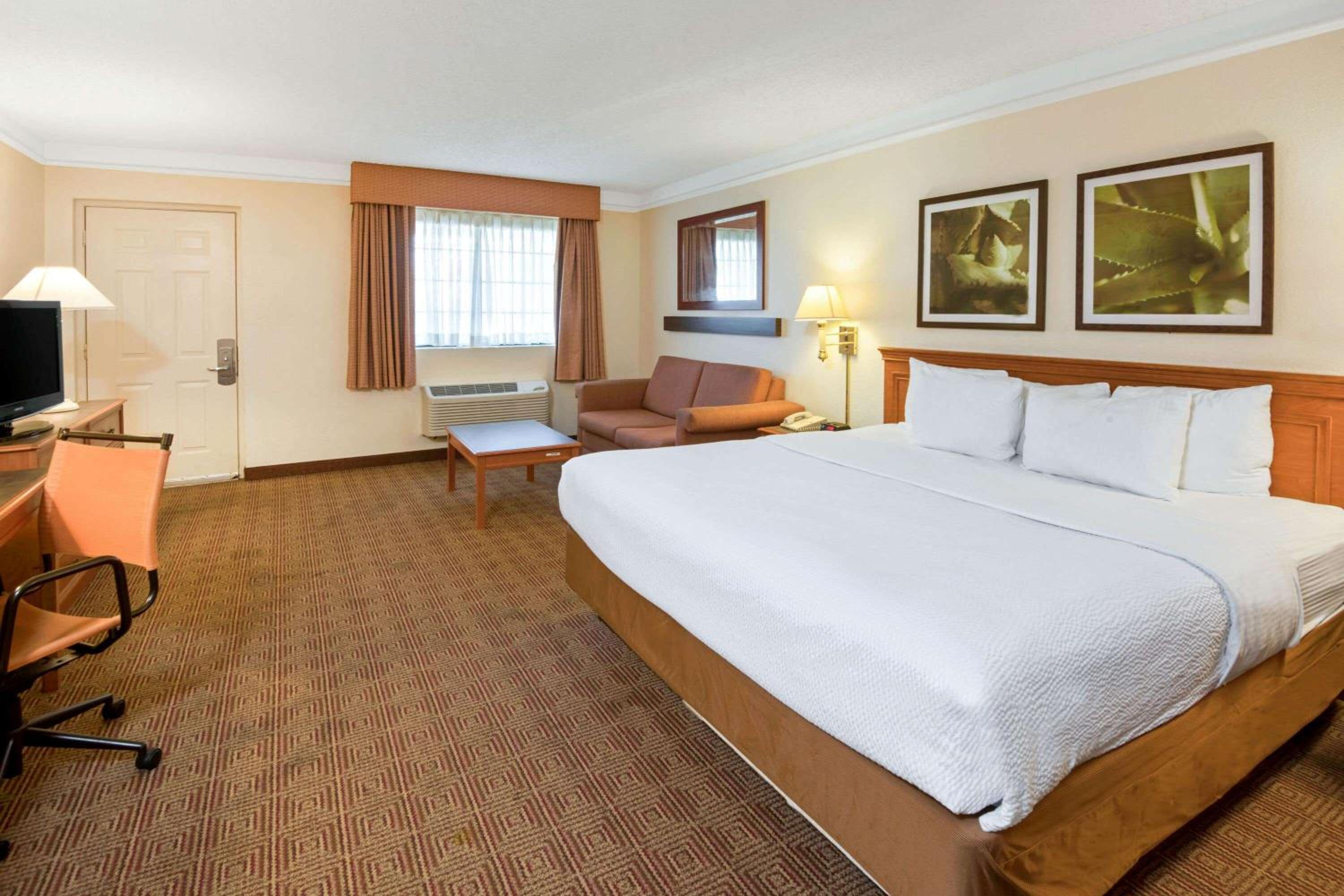 Junior King Suite - Non-Smoking - Photo 1