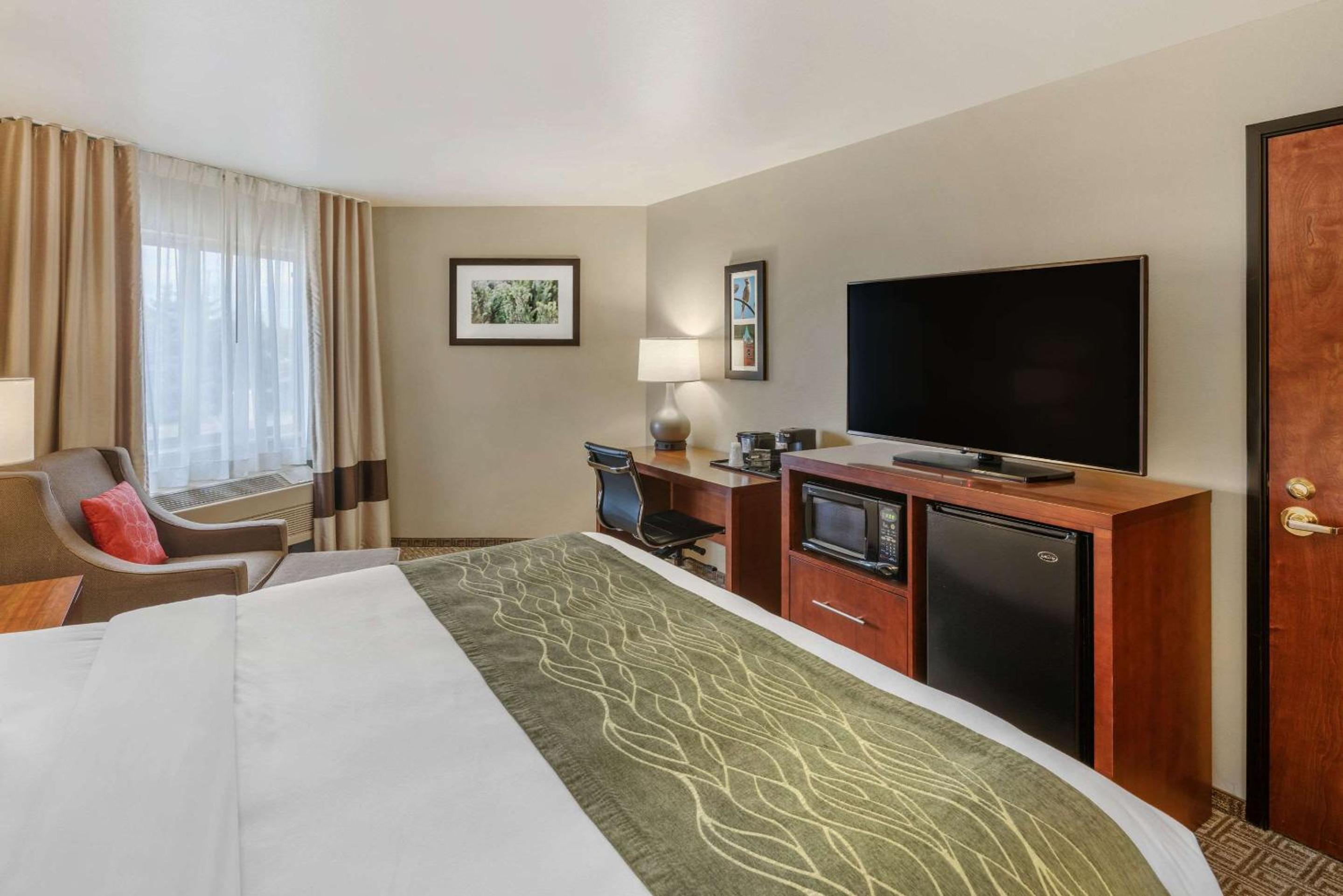 King Room - Non-Smoking - Photo 4