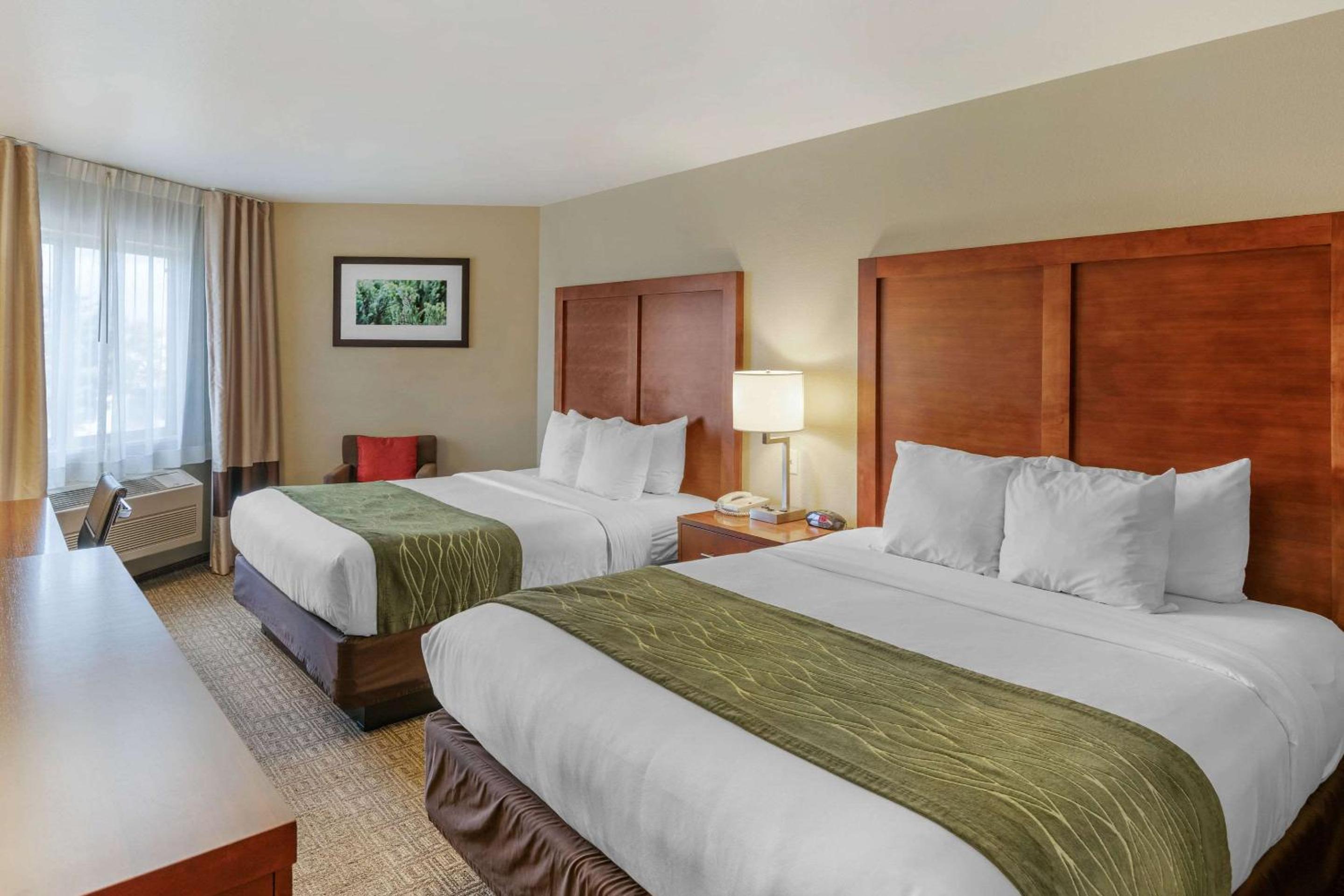 Queen Room with Two Queen Beds - Non-Smoking - Photo 2