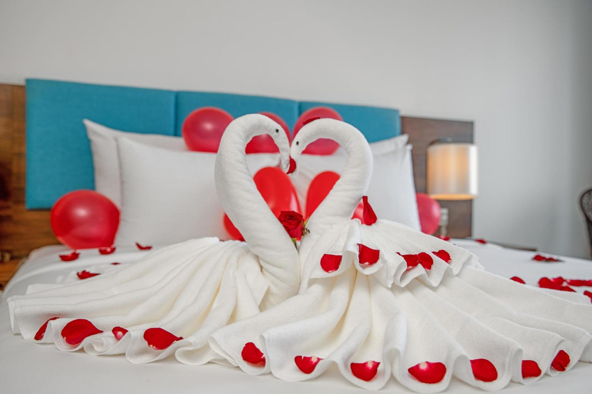 Premium Suite - Photo 13