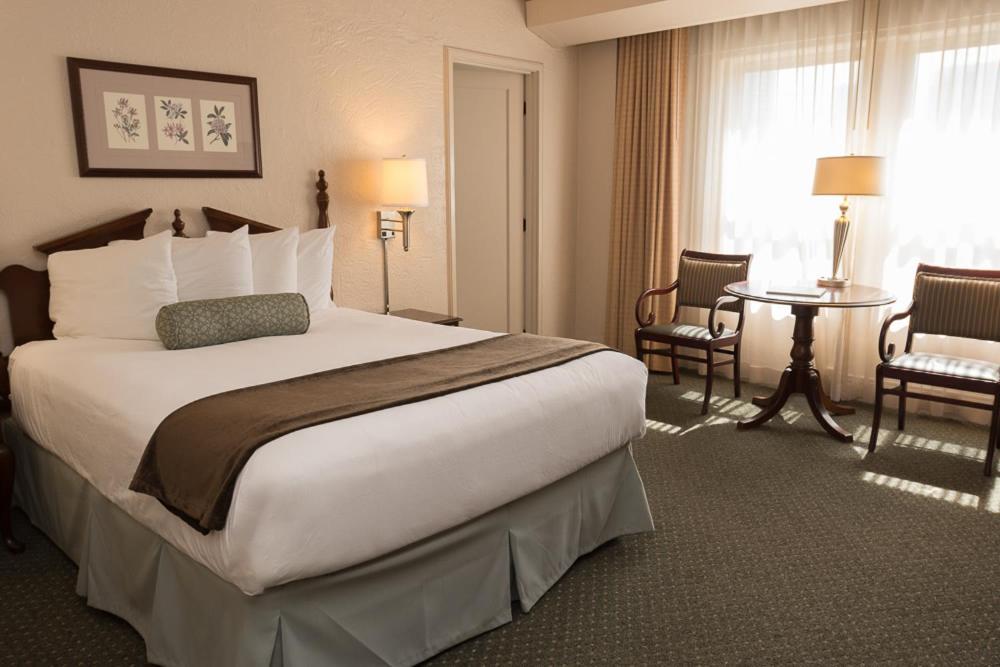 Deluxe Queen Room - Photo 1