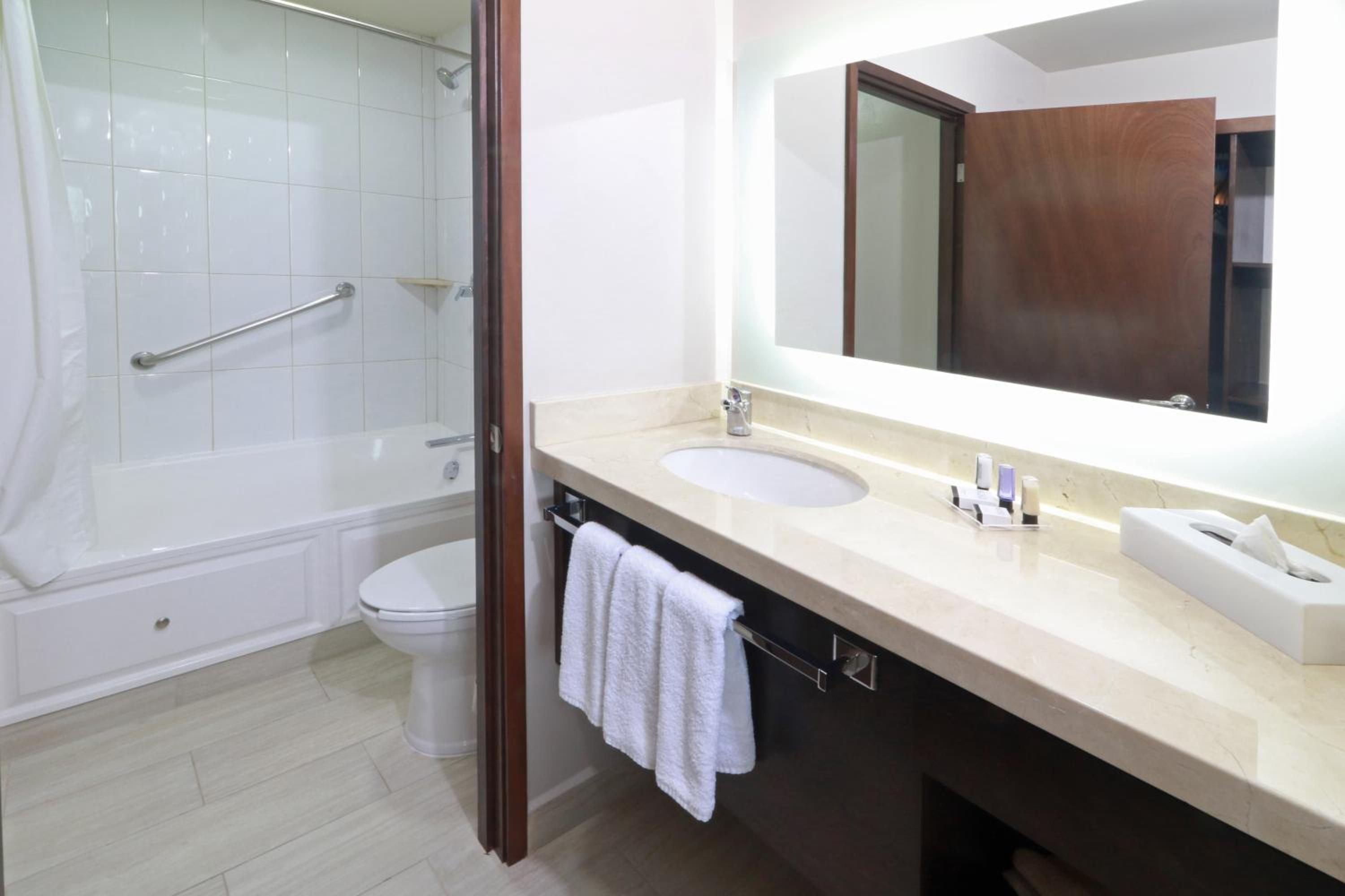 One-Bedroom King Suite - Photo 6